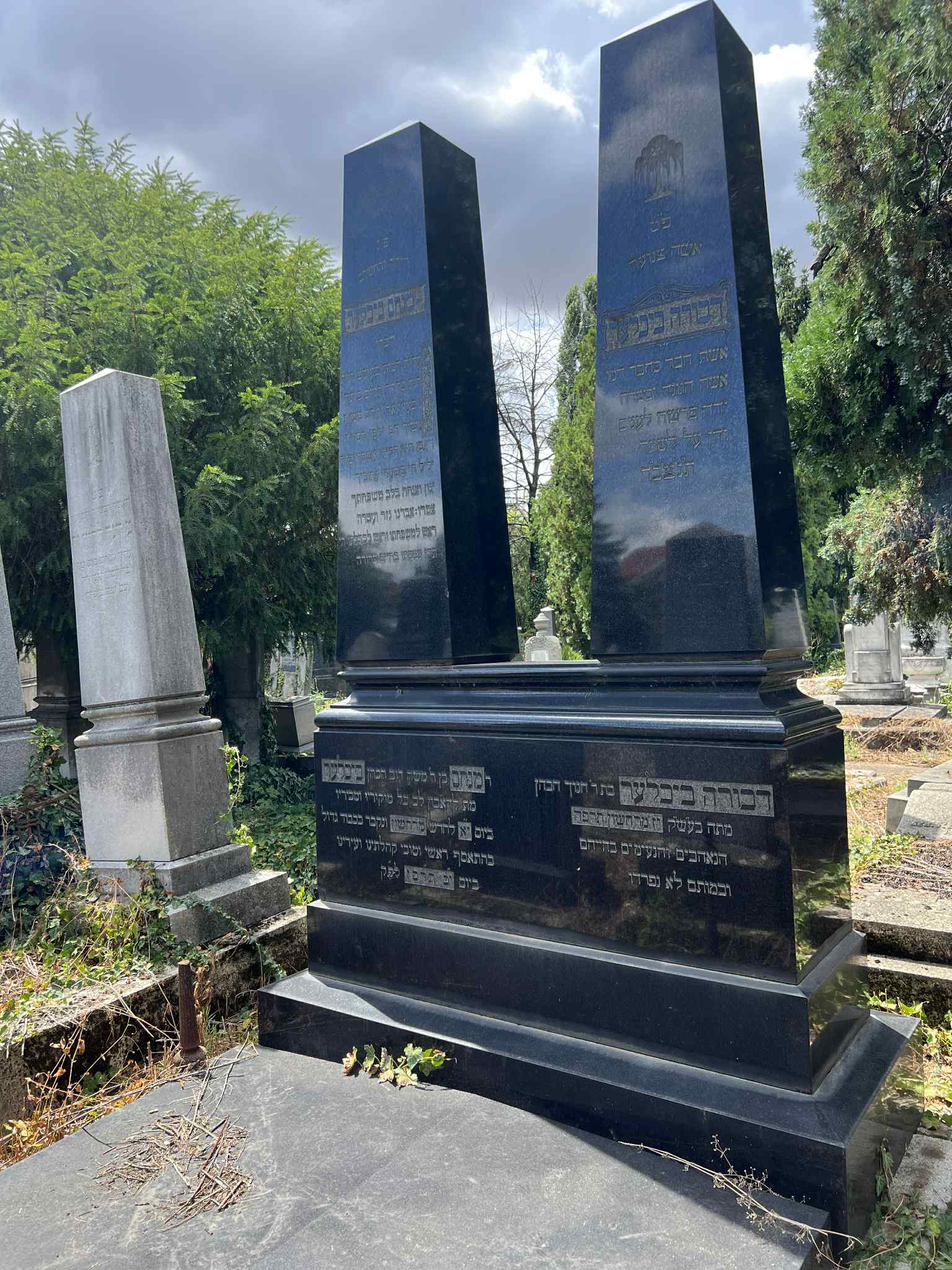 cimitirul evreiesc iulie 2025 (31)