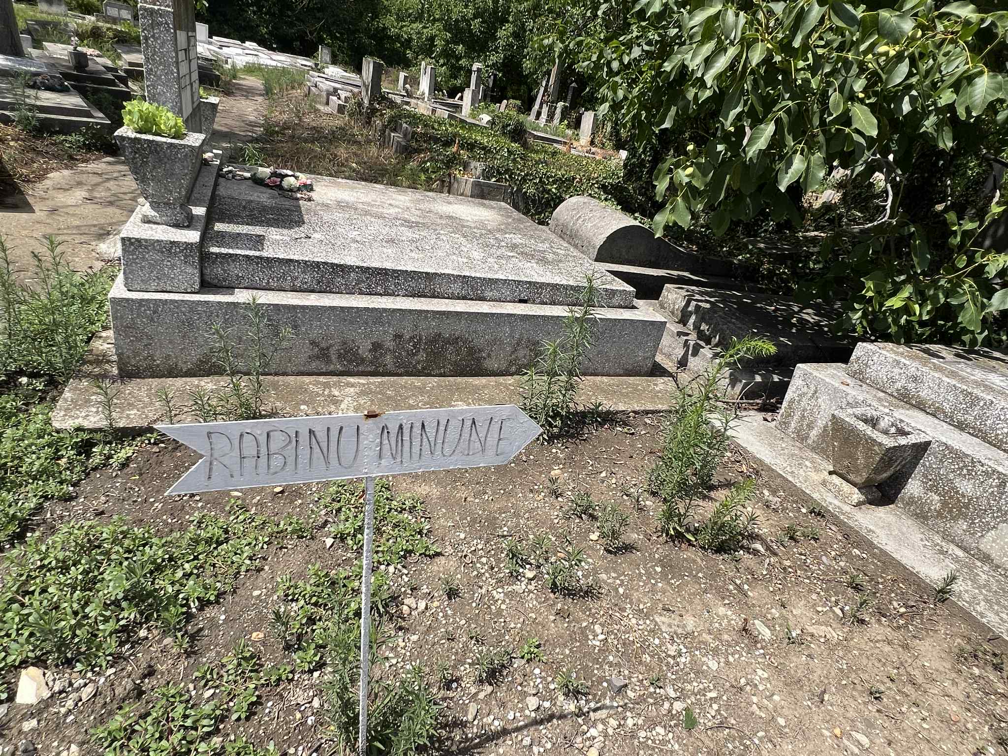 cimitirul evreiesc iulie 2025 (33)