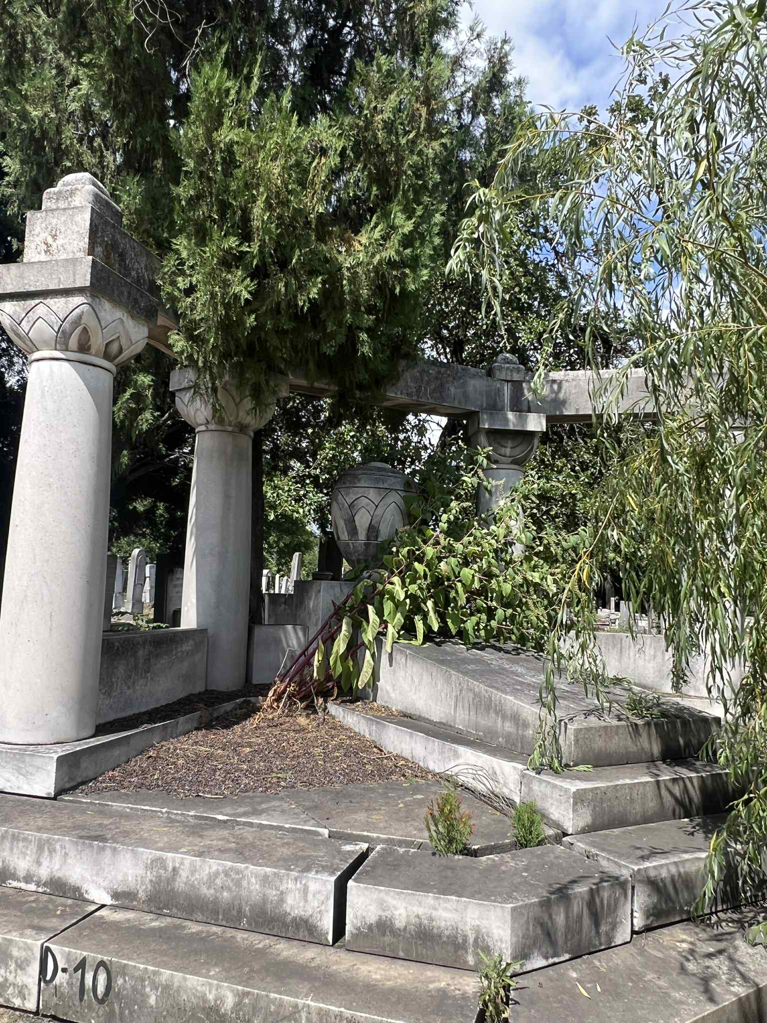 cimitirul evreiesc iulie 2025 (34)