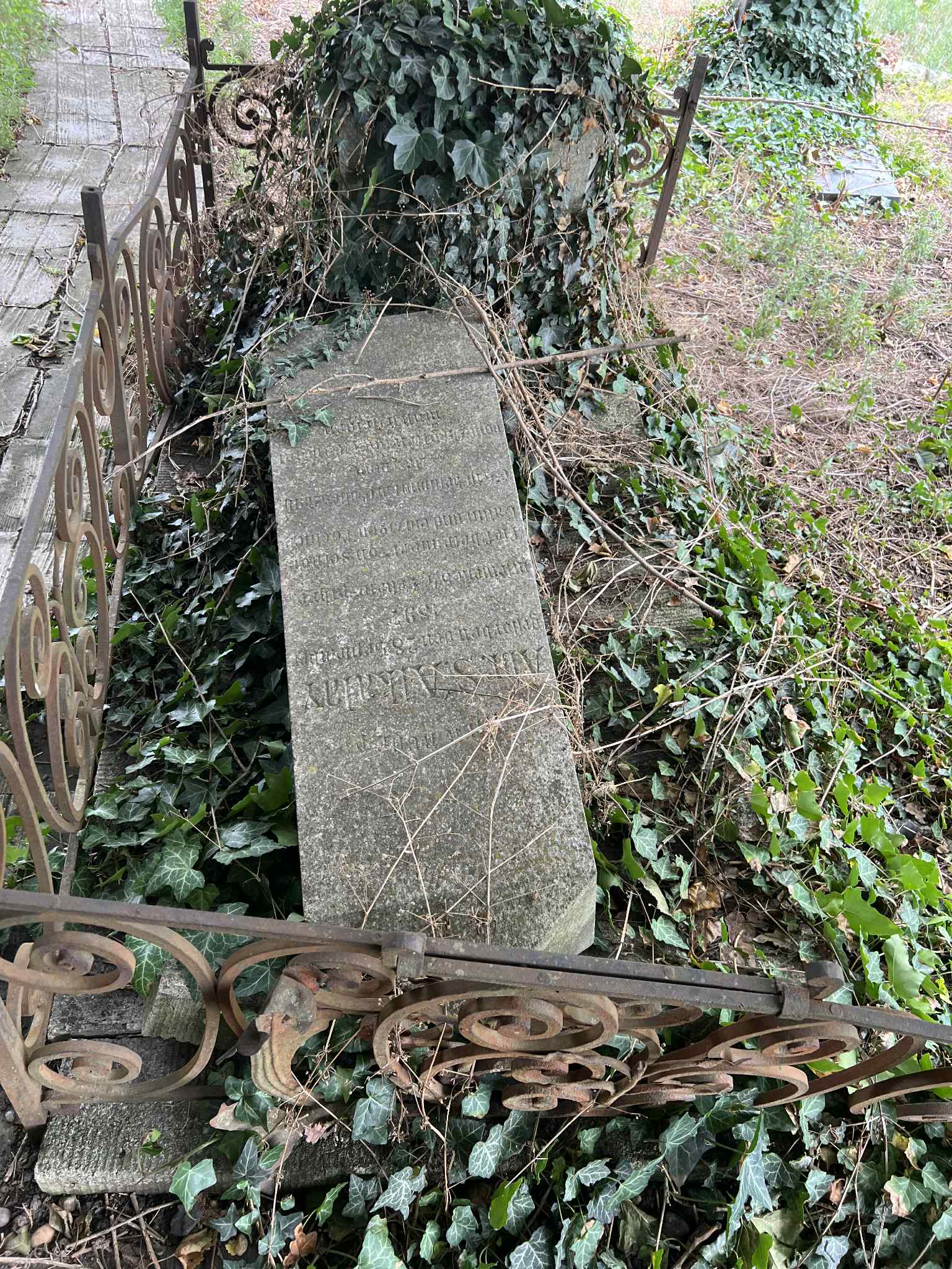 cimitirul evreiesc iulie 2025 (36)