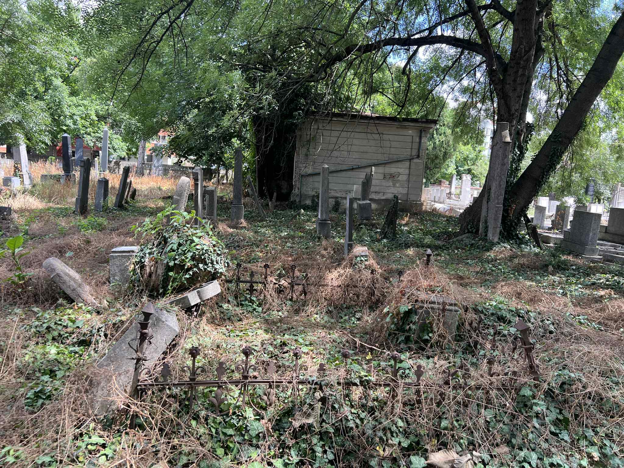 cimitirul evreiesc iulie 2025 (37)