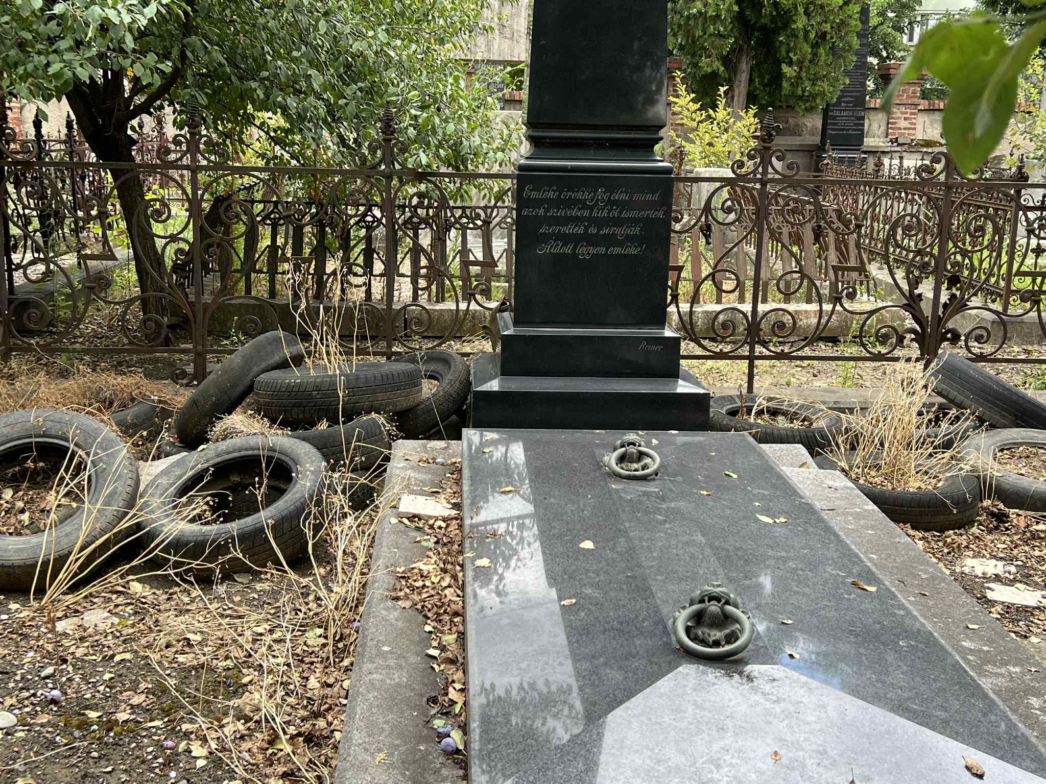 cimitirul evreiesc iulie 2025 (39)