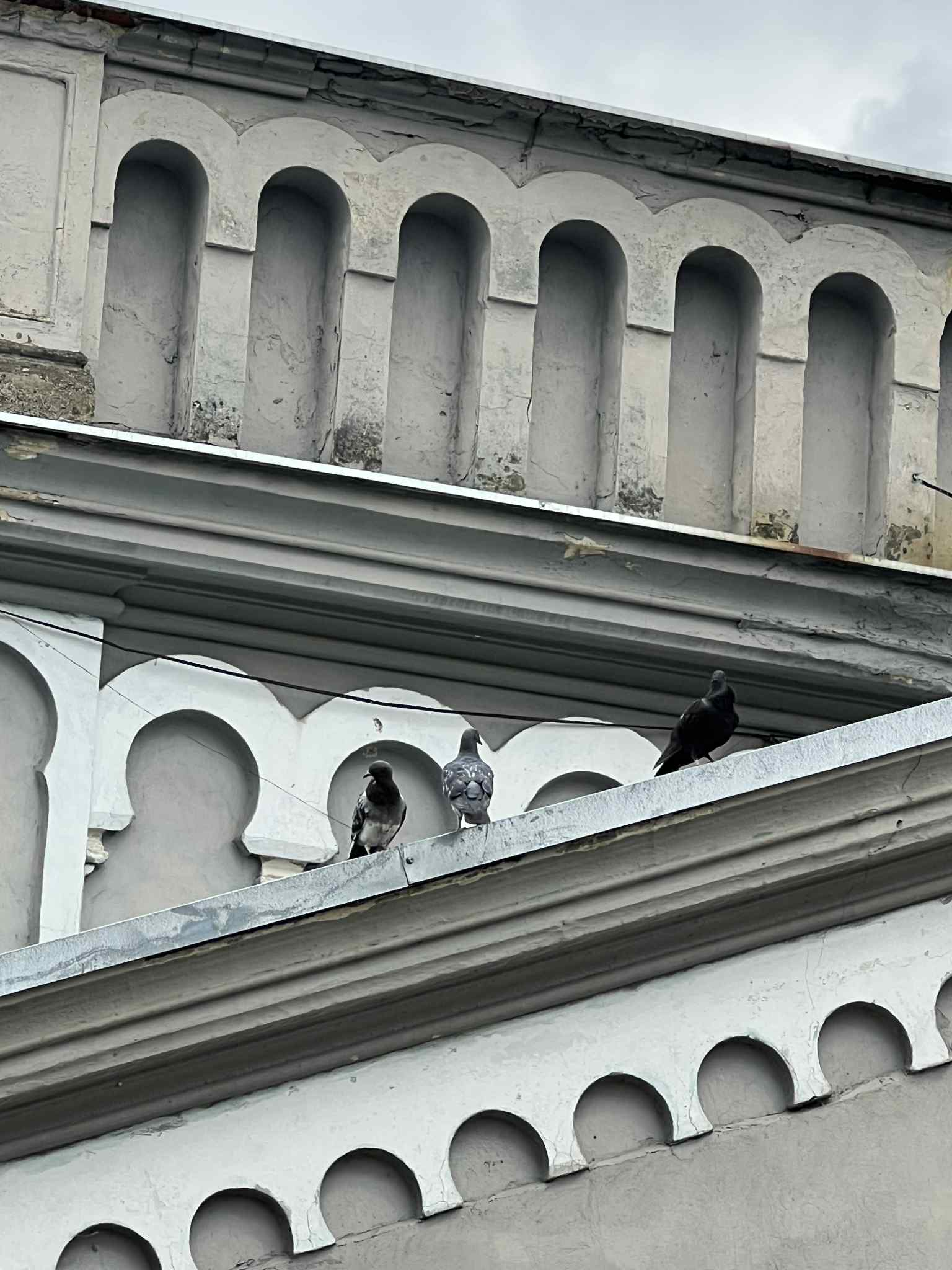 cimitirul evreiesc iulie 2025 (41)