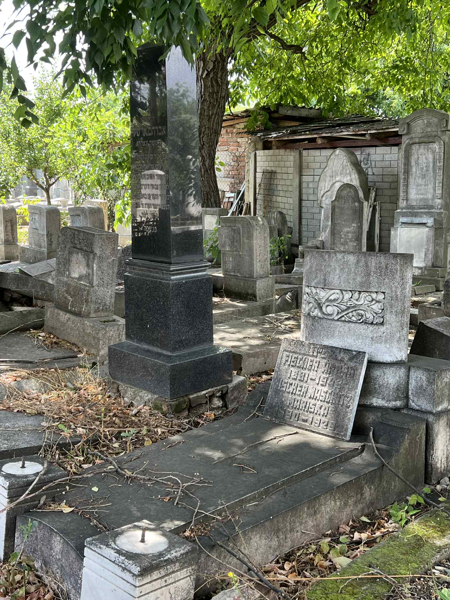 cimitirul evreiesc iulie 2025 (42)