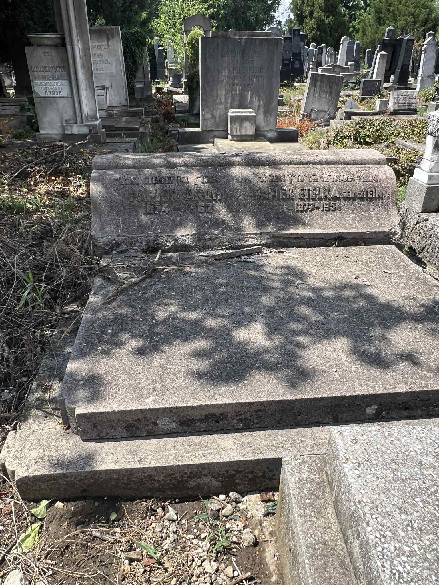 cimitirul evreiesc iulie 2025 (44)