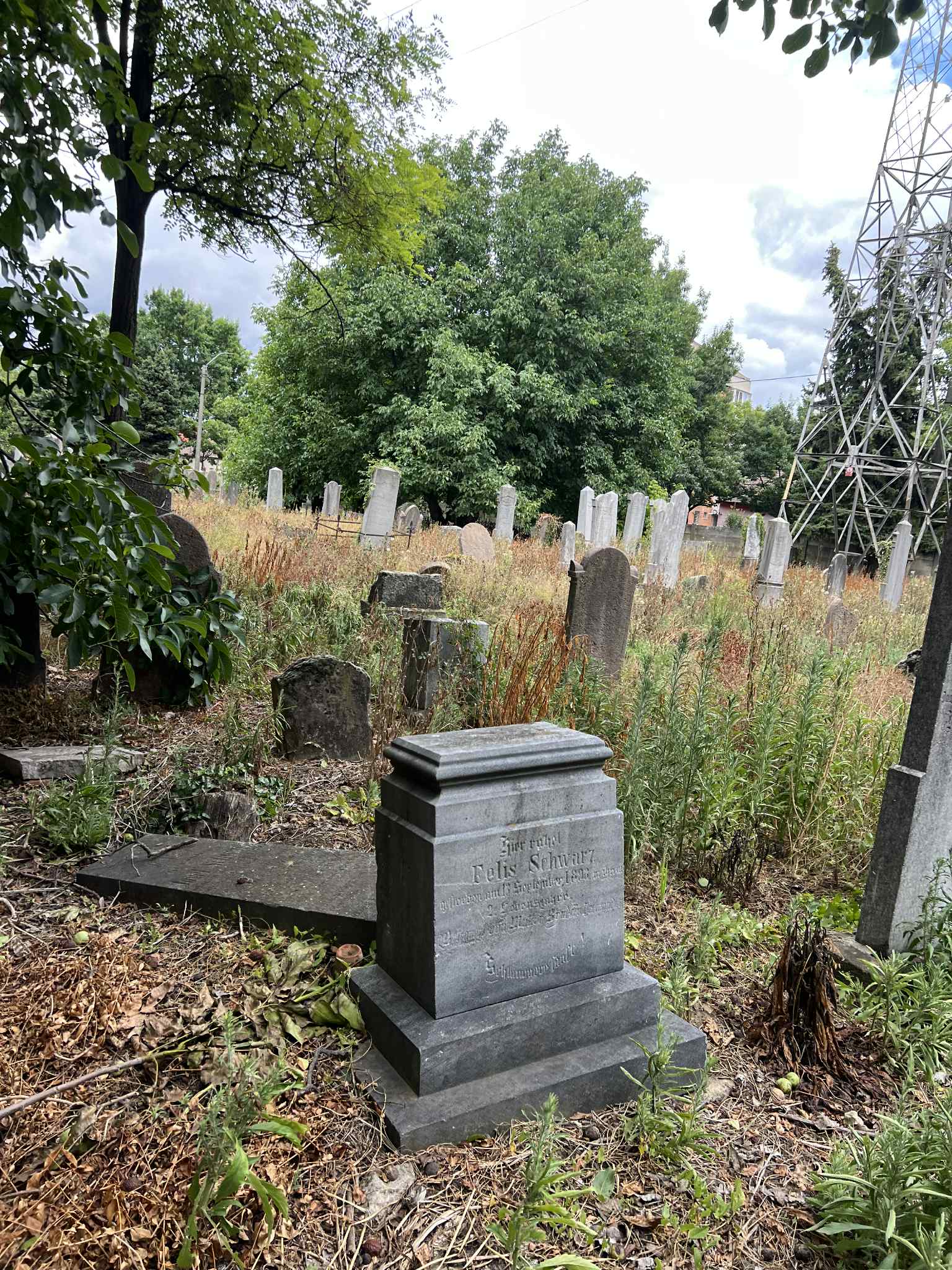 cimitirul evreiesc iulie 2025 (45)