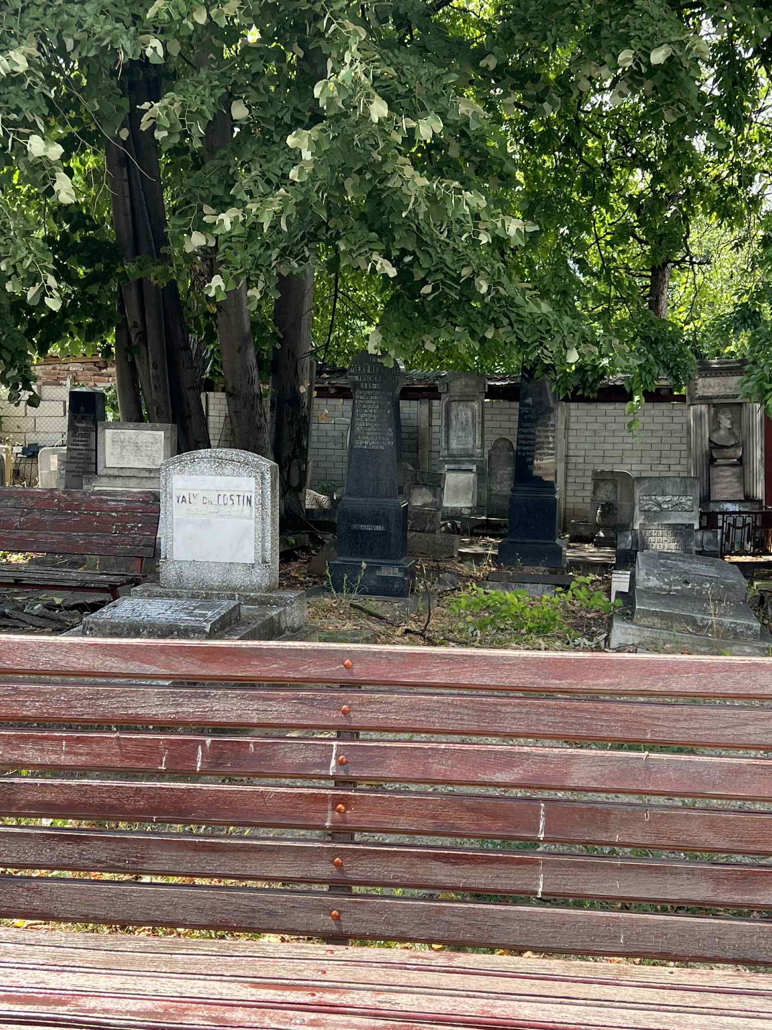 cimitirul evreiesc iulie 2025 (54)