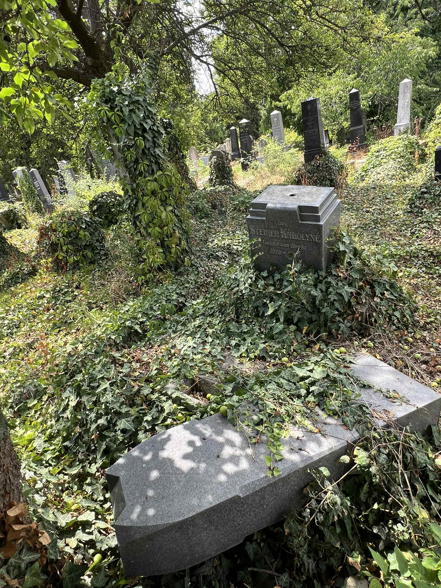 cimitirul evreiesc iulie 2025 (56)