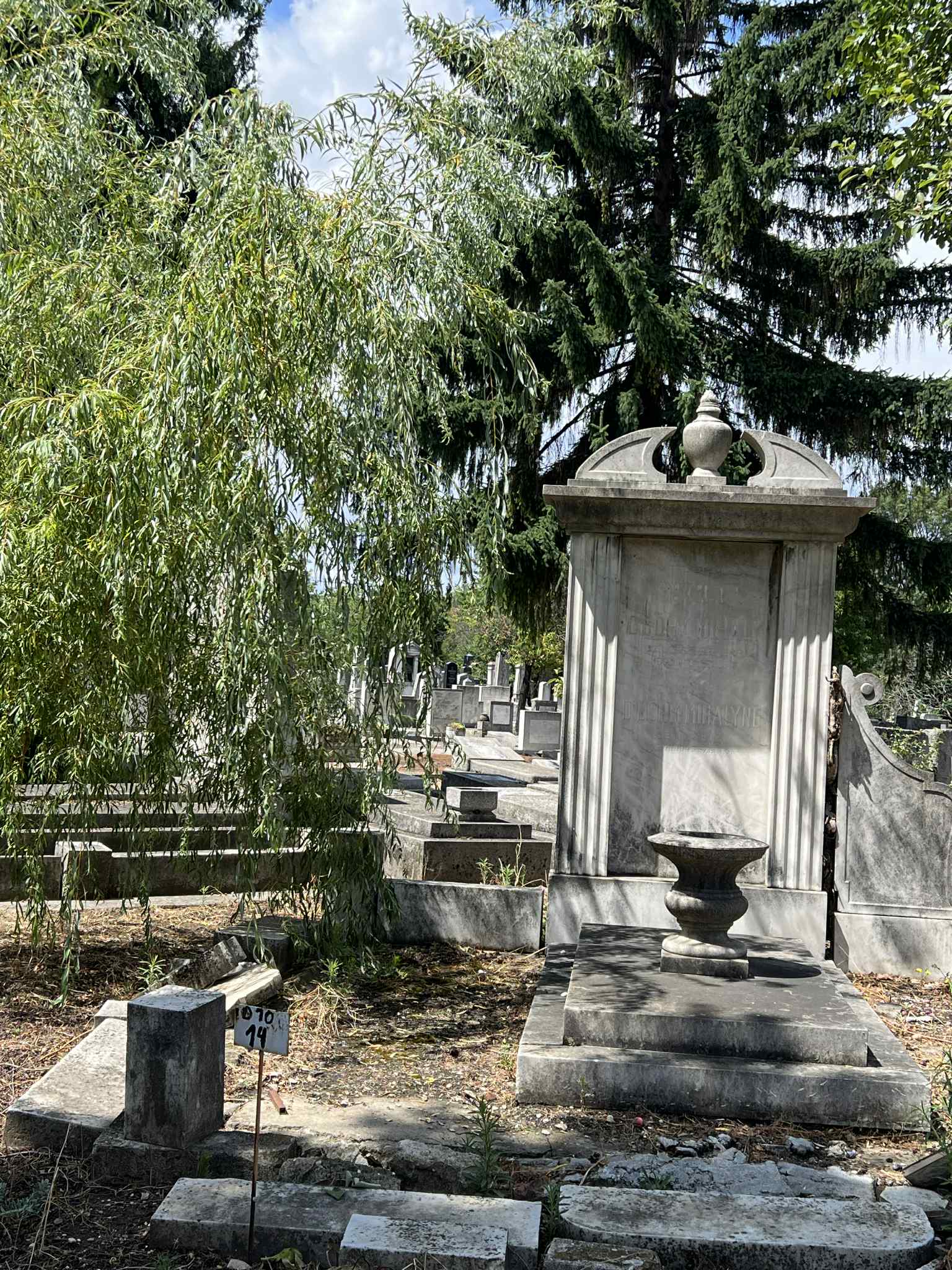 cimitirul evreiesc iulie 2025 (57)