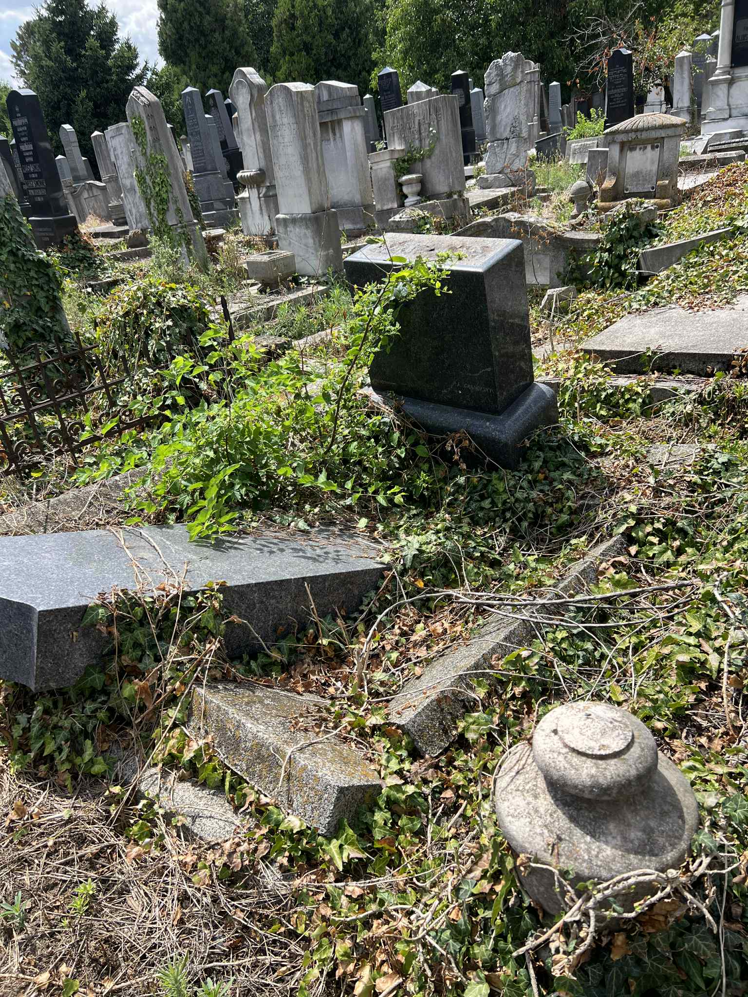 cimitirul evreiesc iulie 2025 (58)