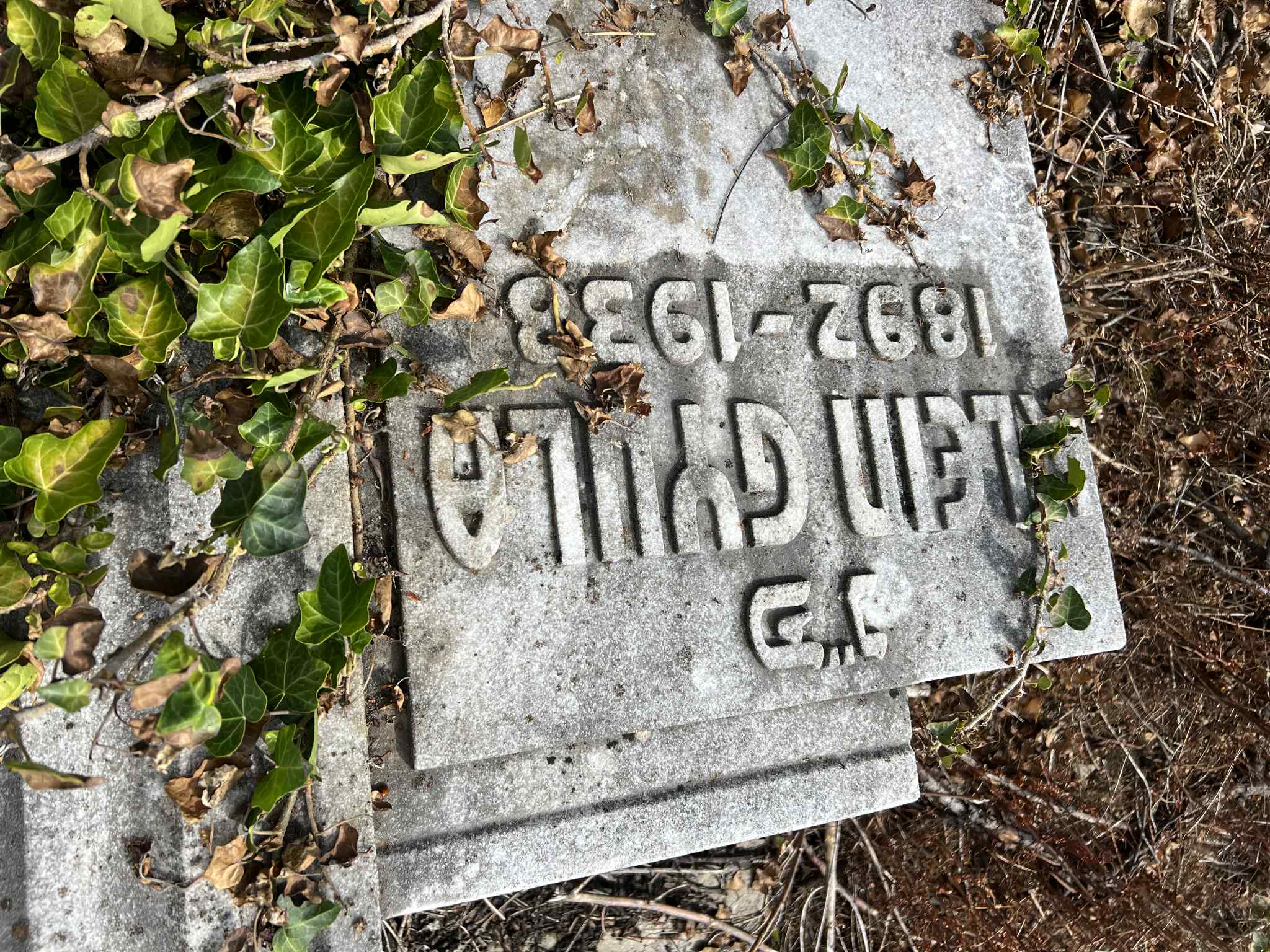 cimitirul evreiesc iulie 2025 (59)