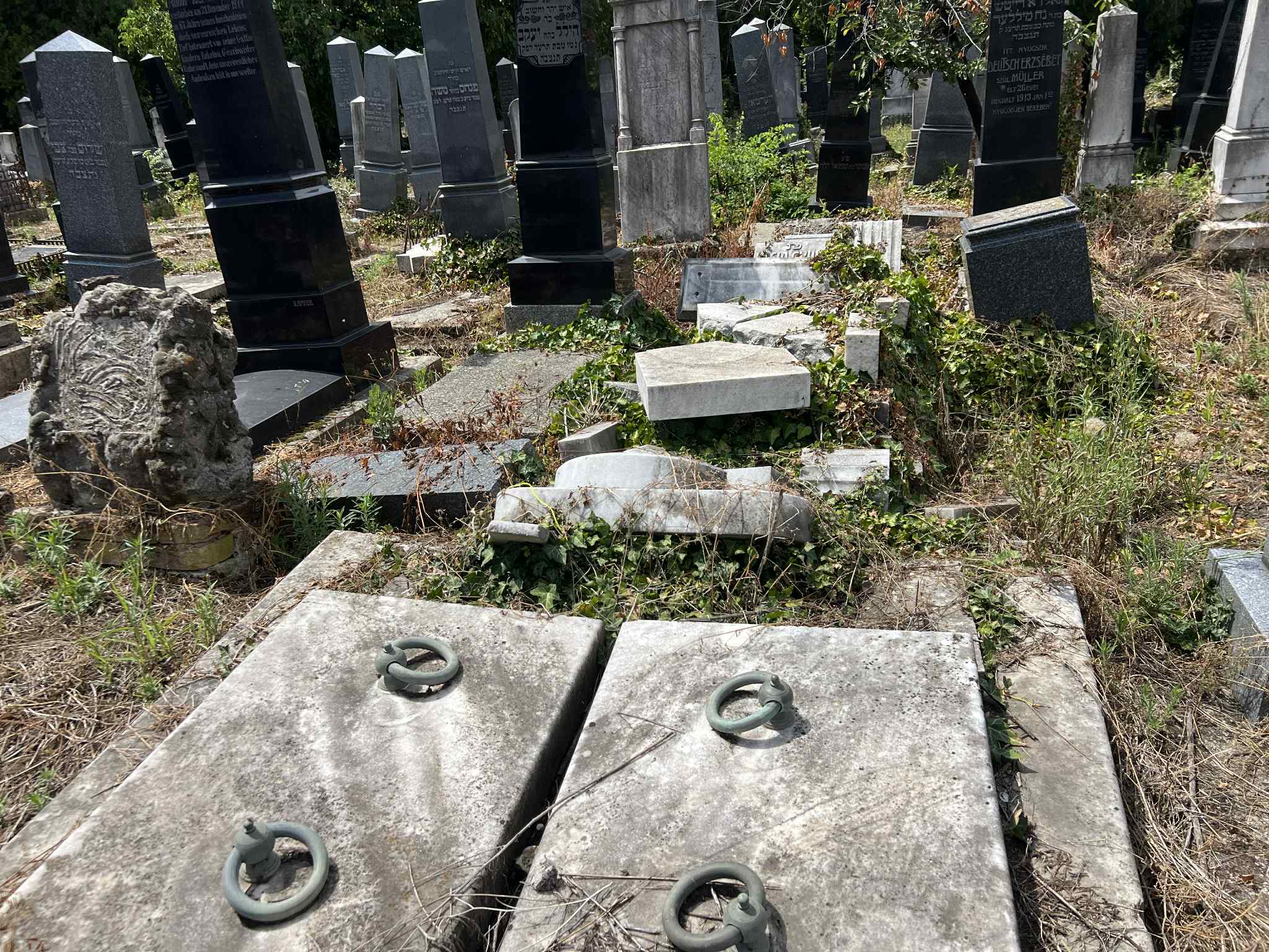 cimitirul evreiesc iulie 2025 (60)