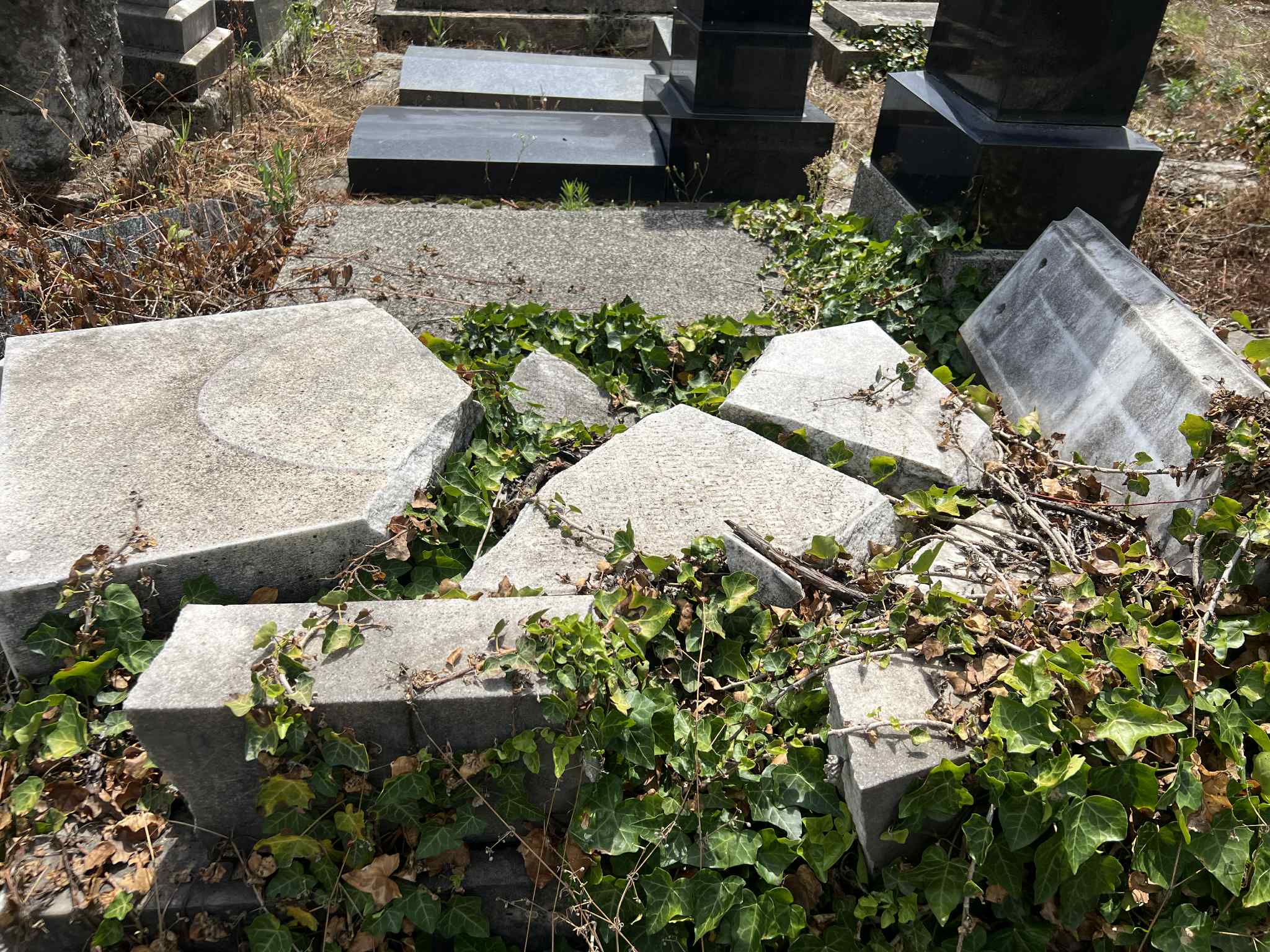 cimitirul evreiesc iulie 2025 (61)