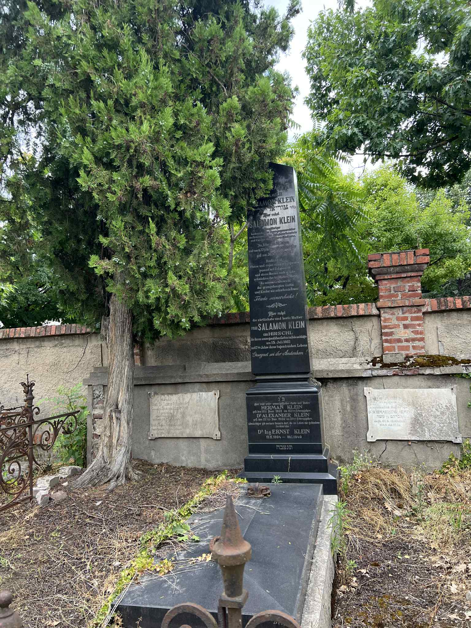 cimitirul evreiesc iulie 2025 (62)
