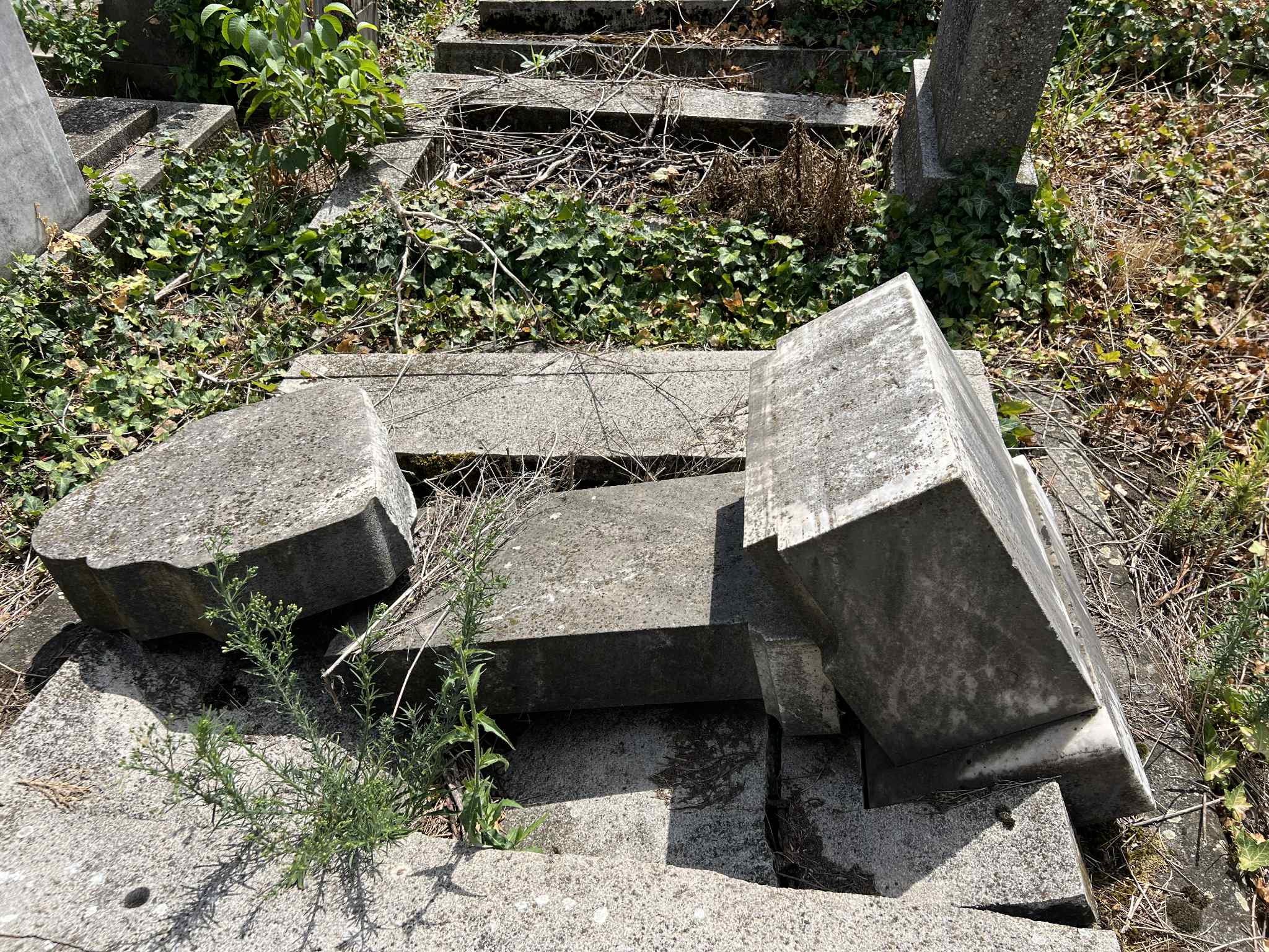 cimitirul evreiesc iulie 2025 (63)