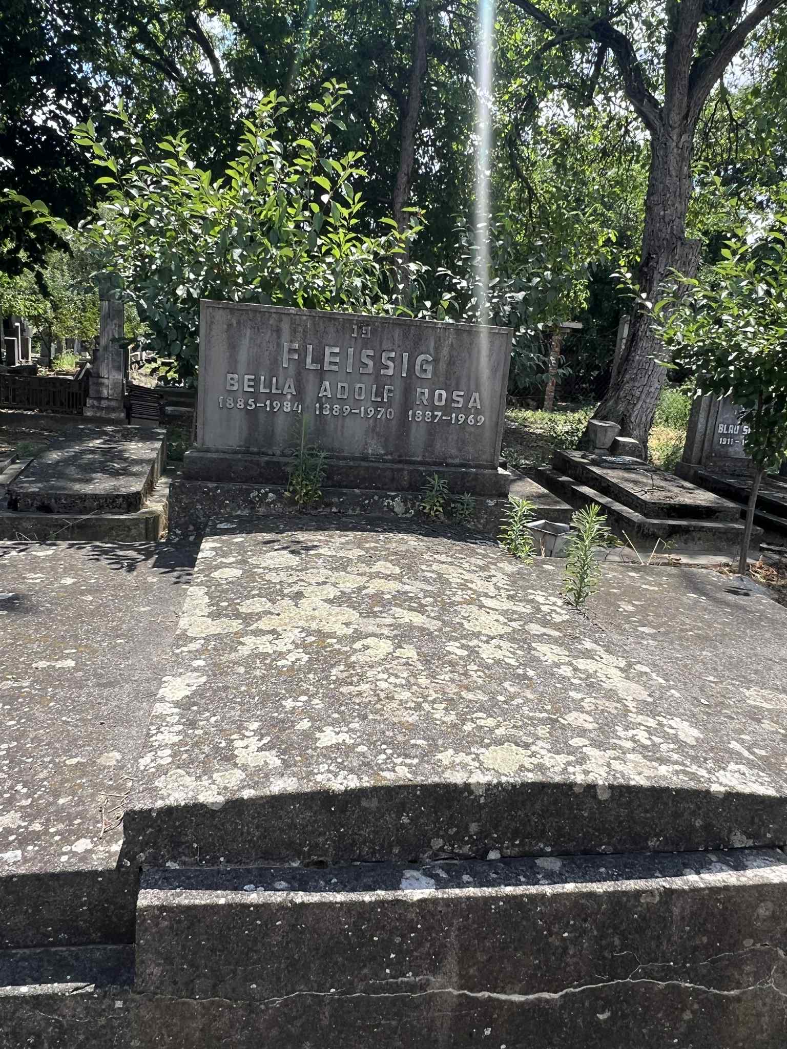 cimitirul evreiesc iulie 2025 (65)