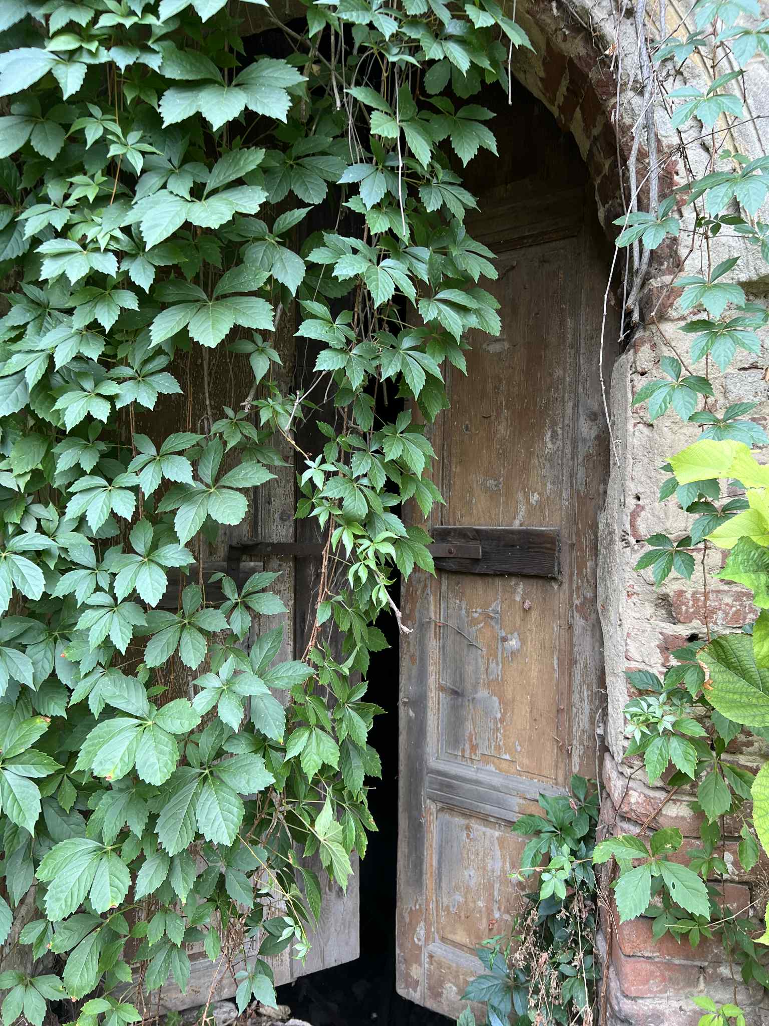 cimitirul evreiesc iulie 2025 (66)