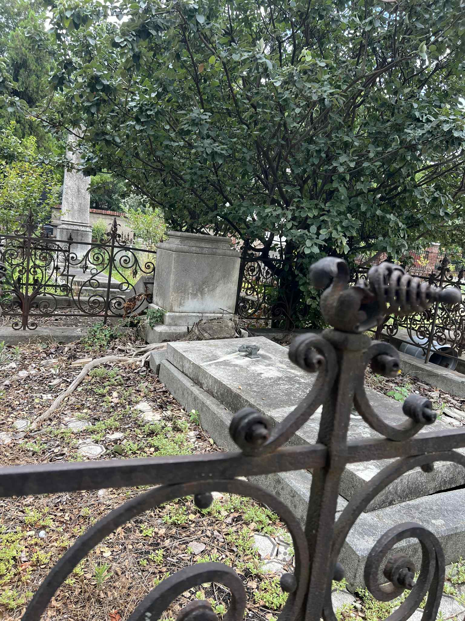 cimitirul evreiesc iulie 2025 (67)