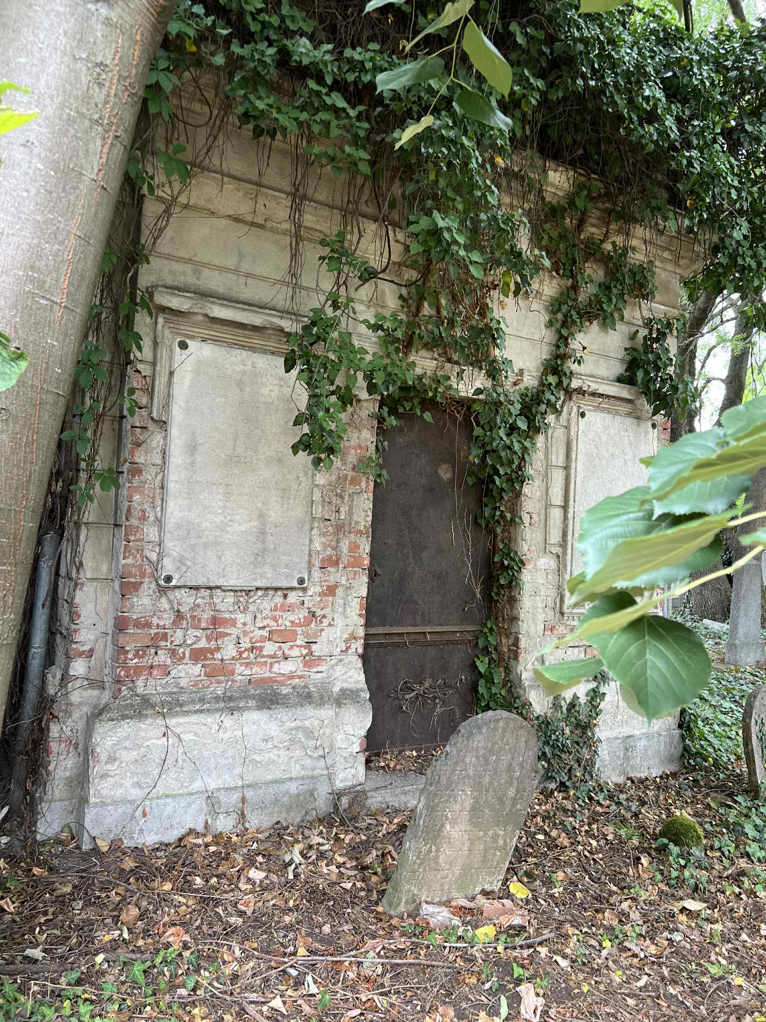 cimitirul evreiesc iulie 2025 (69)