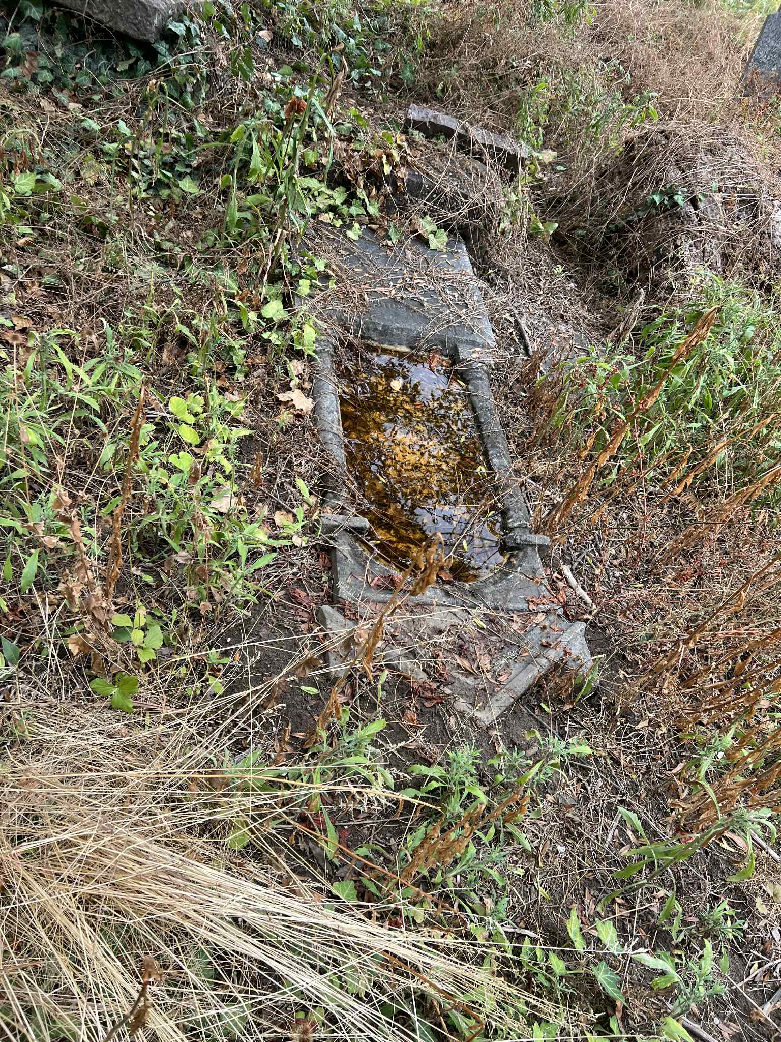 cimitirul evreiesc iulie 2025 (70)