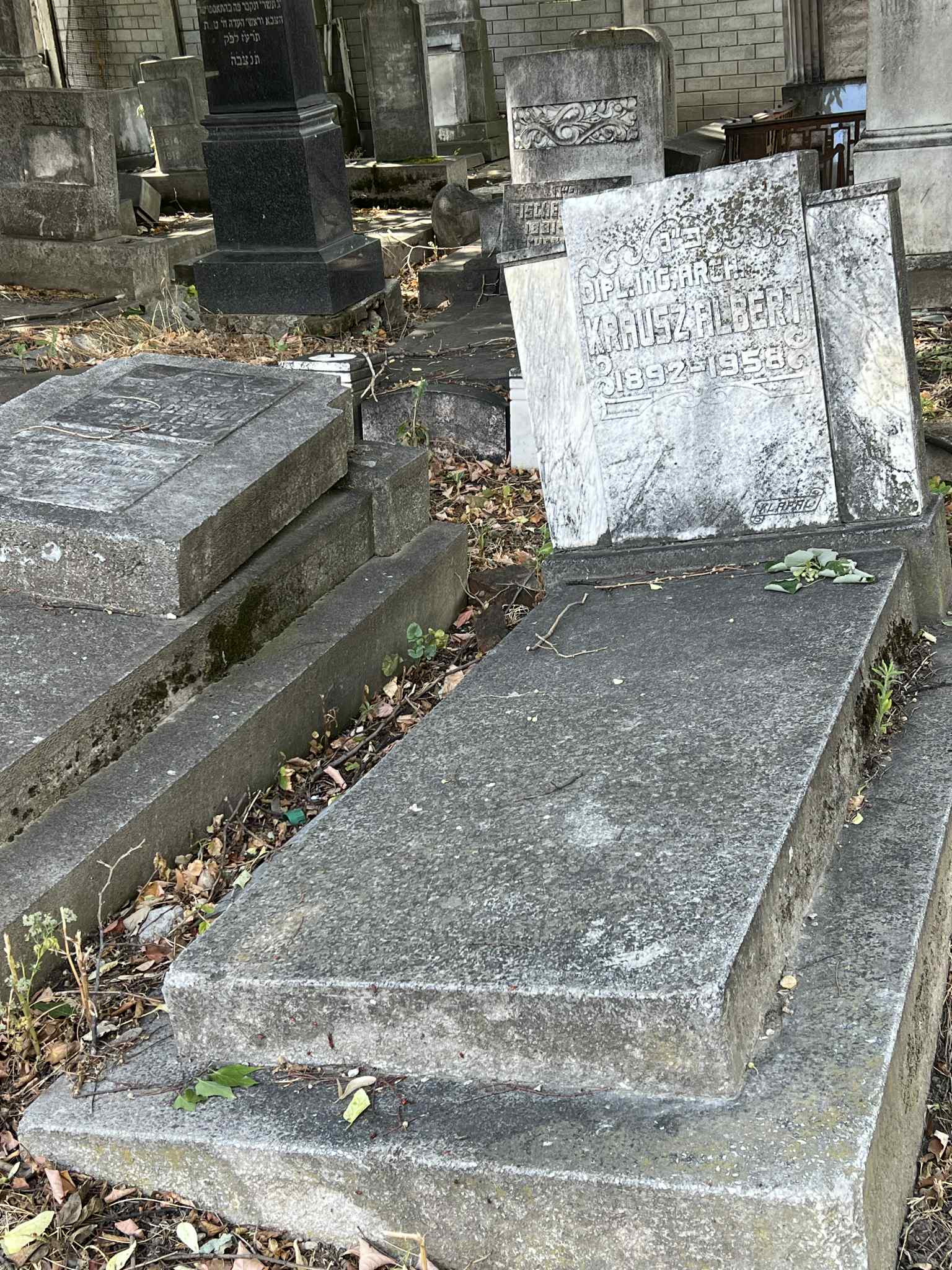 cimitirul evreiesc iulie 2025 (73)