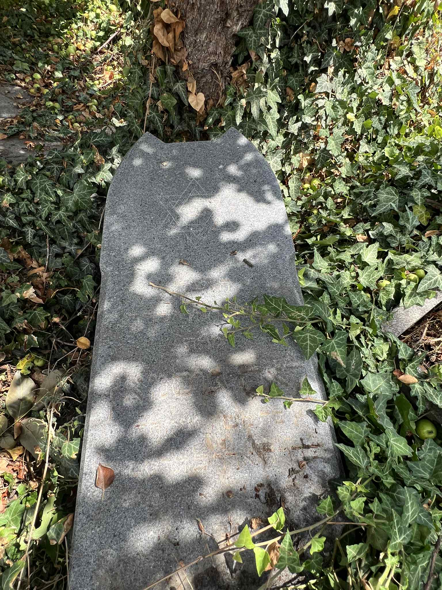 cimitirul evreiesc iulie 2025 (74)