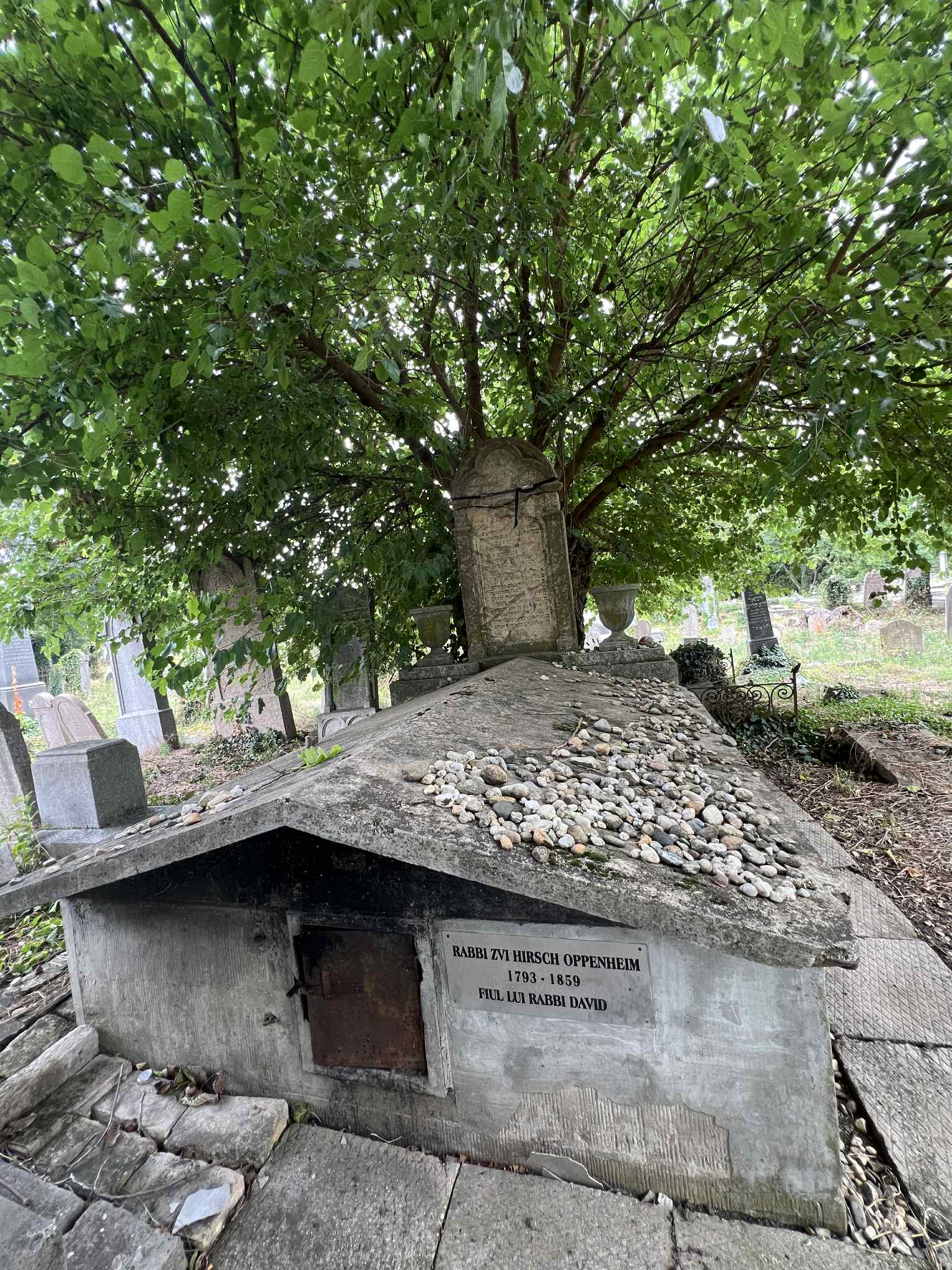 cimitirul evreiesc iulie 2025 (77)