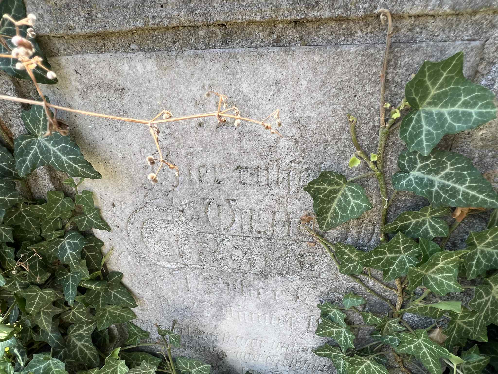 cimitirul evreiesc iulie 2025 (78)