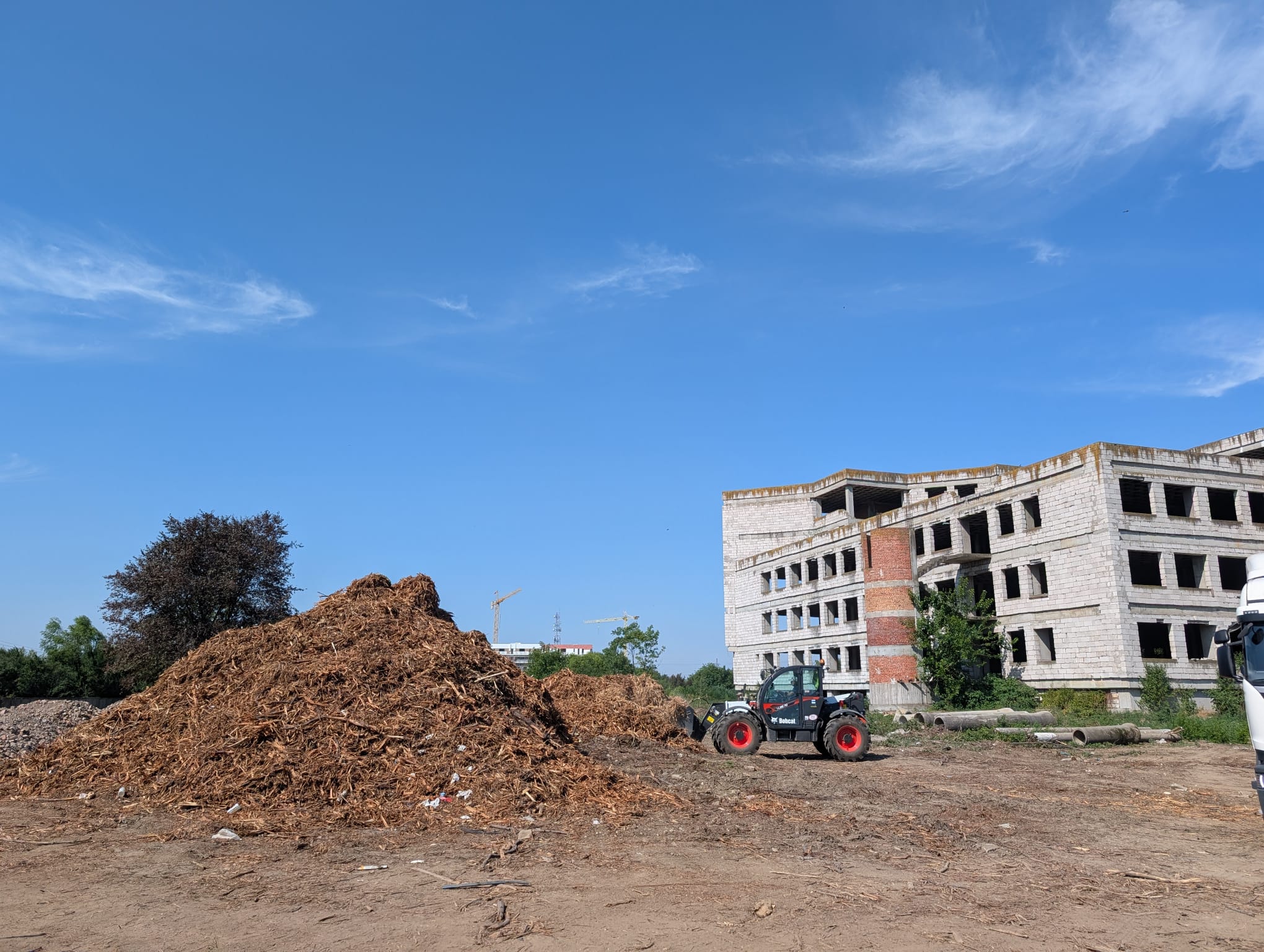 institutul oncologic (1)