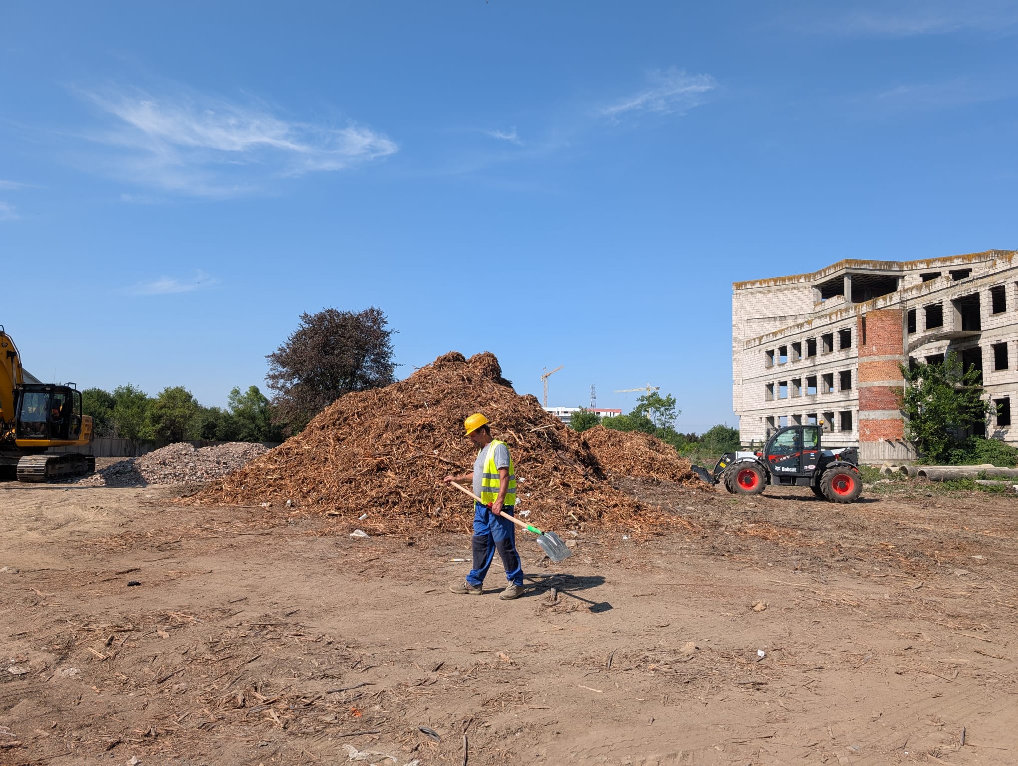 institutul oncologic (5)