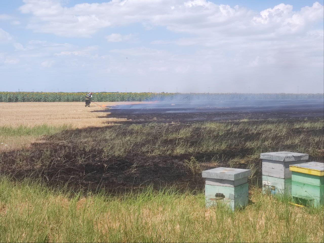 WhatsApp Image 2025-07-21 at 15.36.19