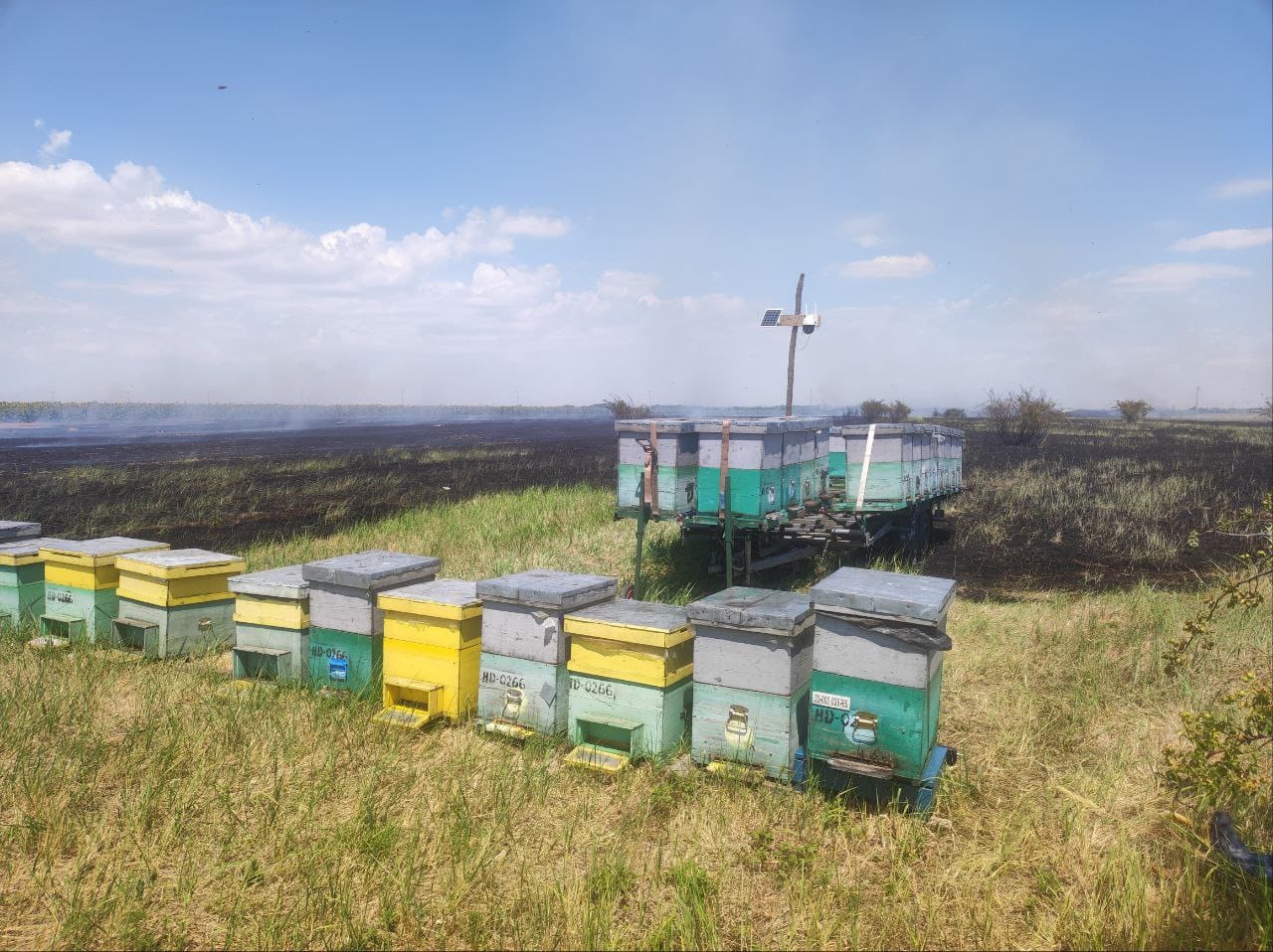 WhatsApp Image 2025-07-21 at 15.36.18 (1)