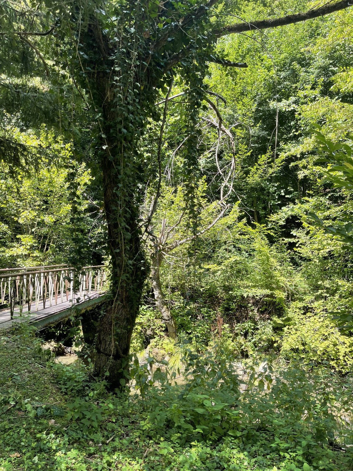 WhatsApp Image 2025-07-21 at 16.44.21 (1)