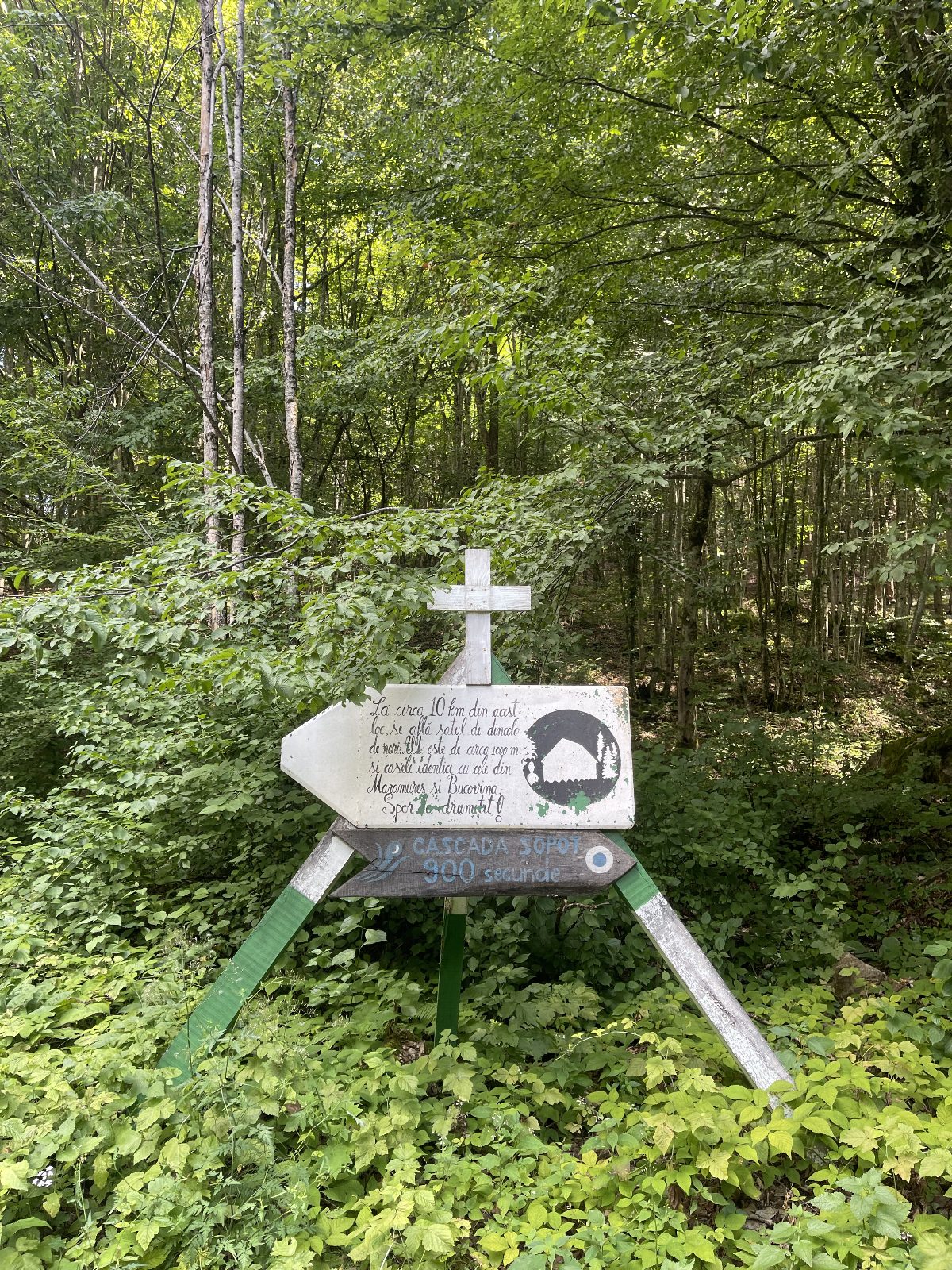 WhatsApp Image 2025-07-21 at 16.44.21