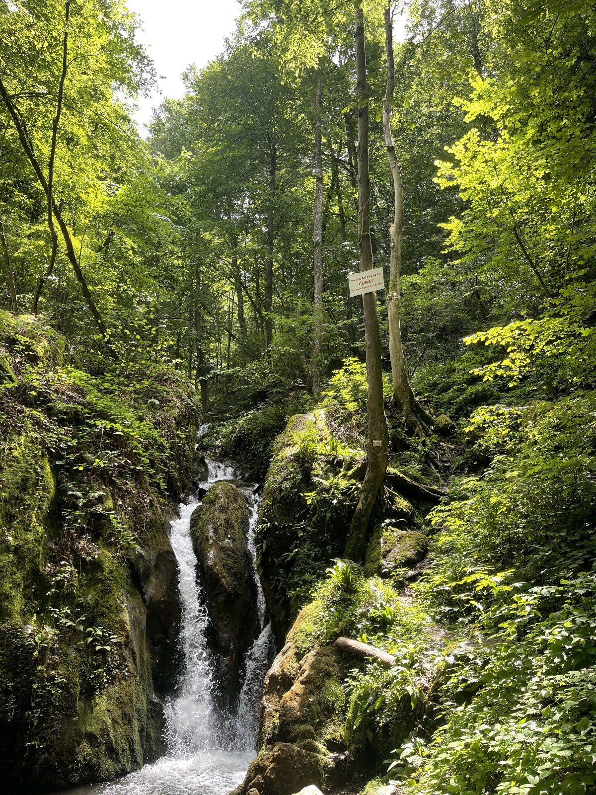 WhatsApp Image 2025-07-21 at 16.44.22