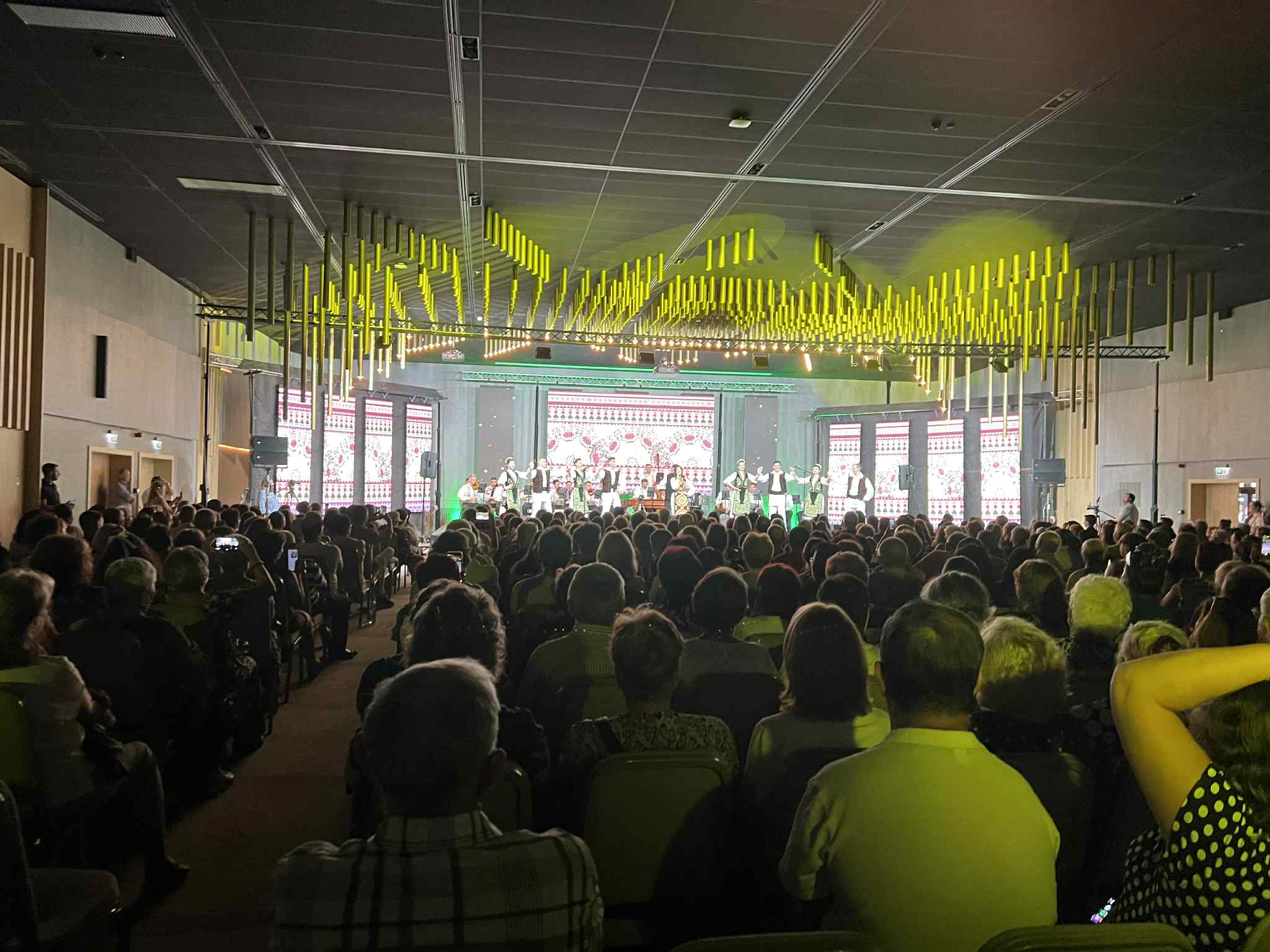 drag de timis fuego (9)