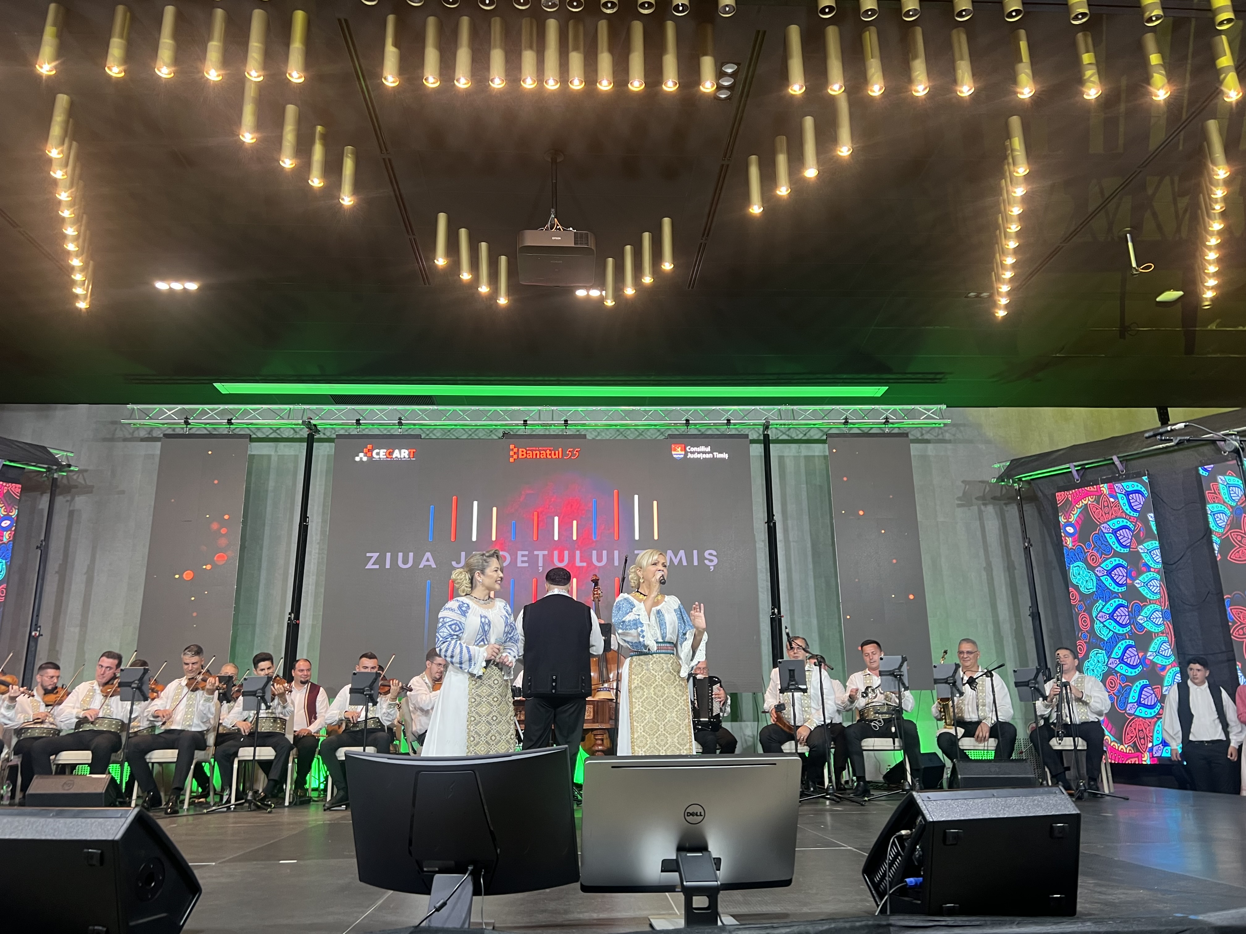 drag de timis fuego (13)