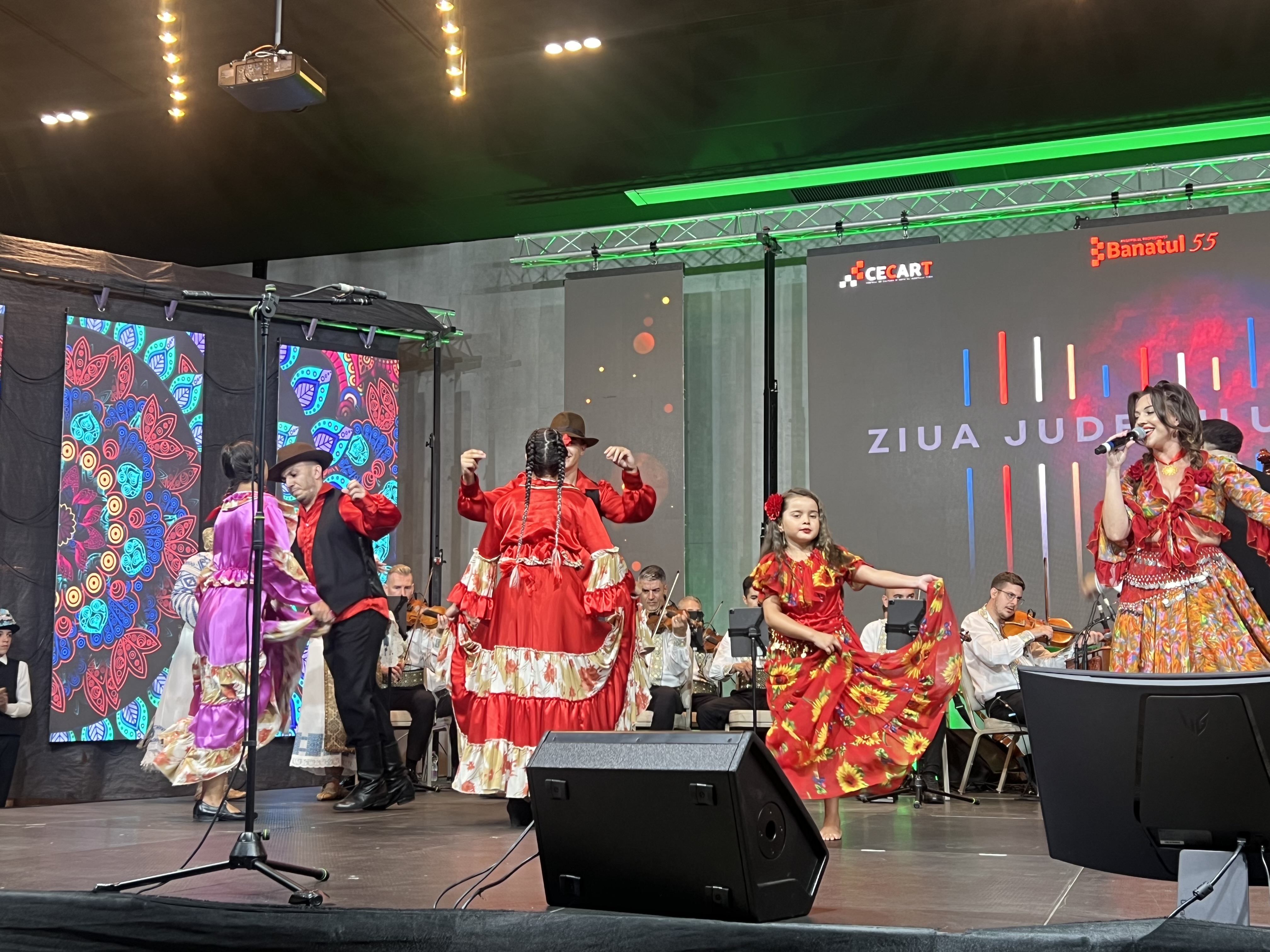 drag de timis fuego (20)