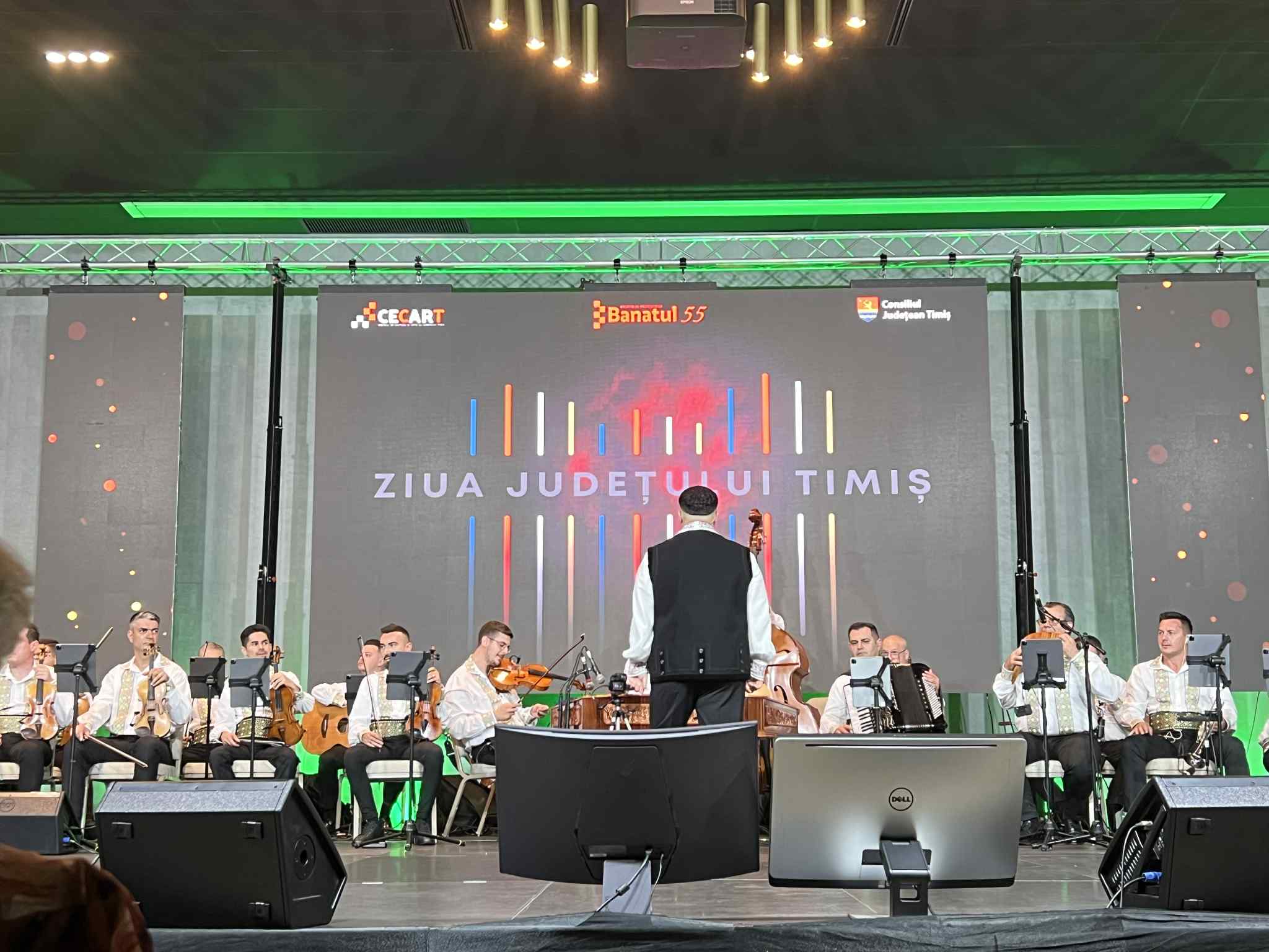 drag de timis fuego (29)