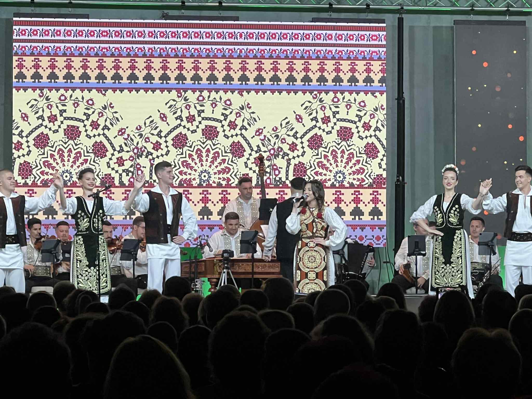 drag de timis fuego (32)