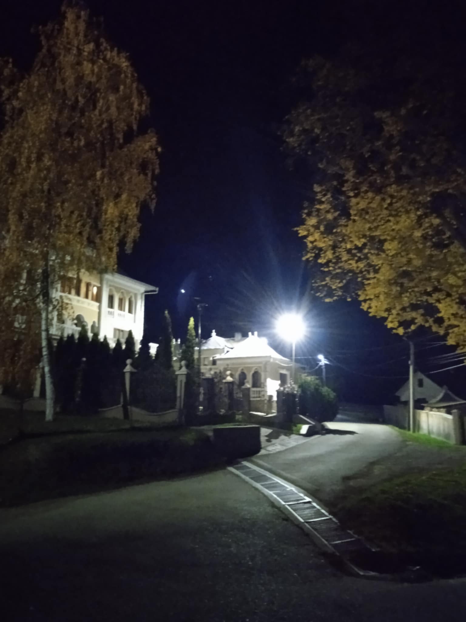 977468c6-303b-466d-96f5-ed7995723df8