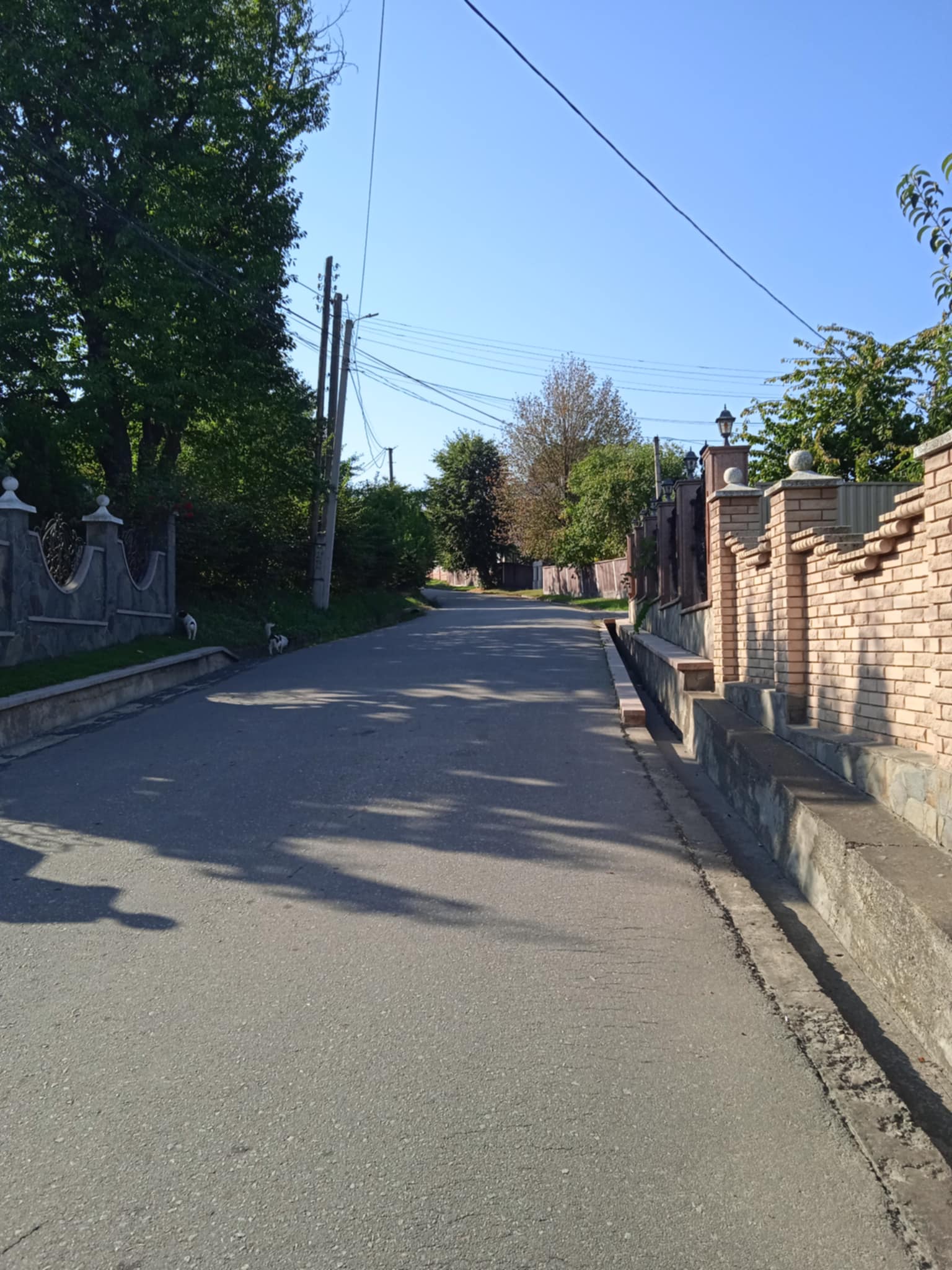 a3d8e1f4-09ff-45a7-b027-f63cae88a164