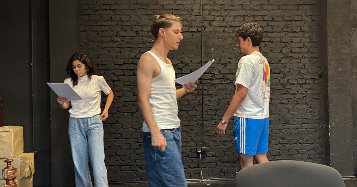 Bullyingul, subiect central al unui spectacol-documentar la Casa Artelor din Timișoara Bullyingul, subiect central al unui spectacol-documentar la Casa Artelor din Timișoara