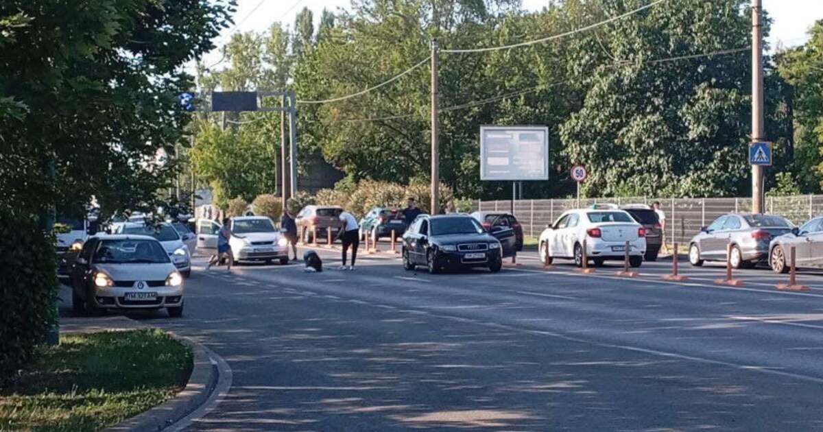 Femeie accidentată pe trecerea de pietoni de pe Calea Aradului din Timișoara Femeie accidentată pe trecerea de pietoni de pe Calea Aradului din Timișoara