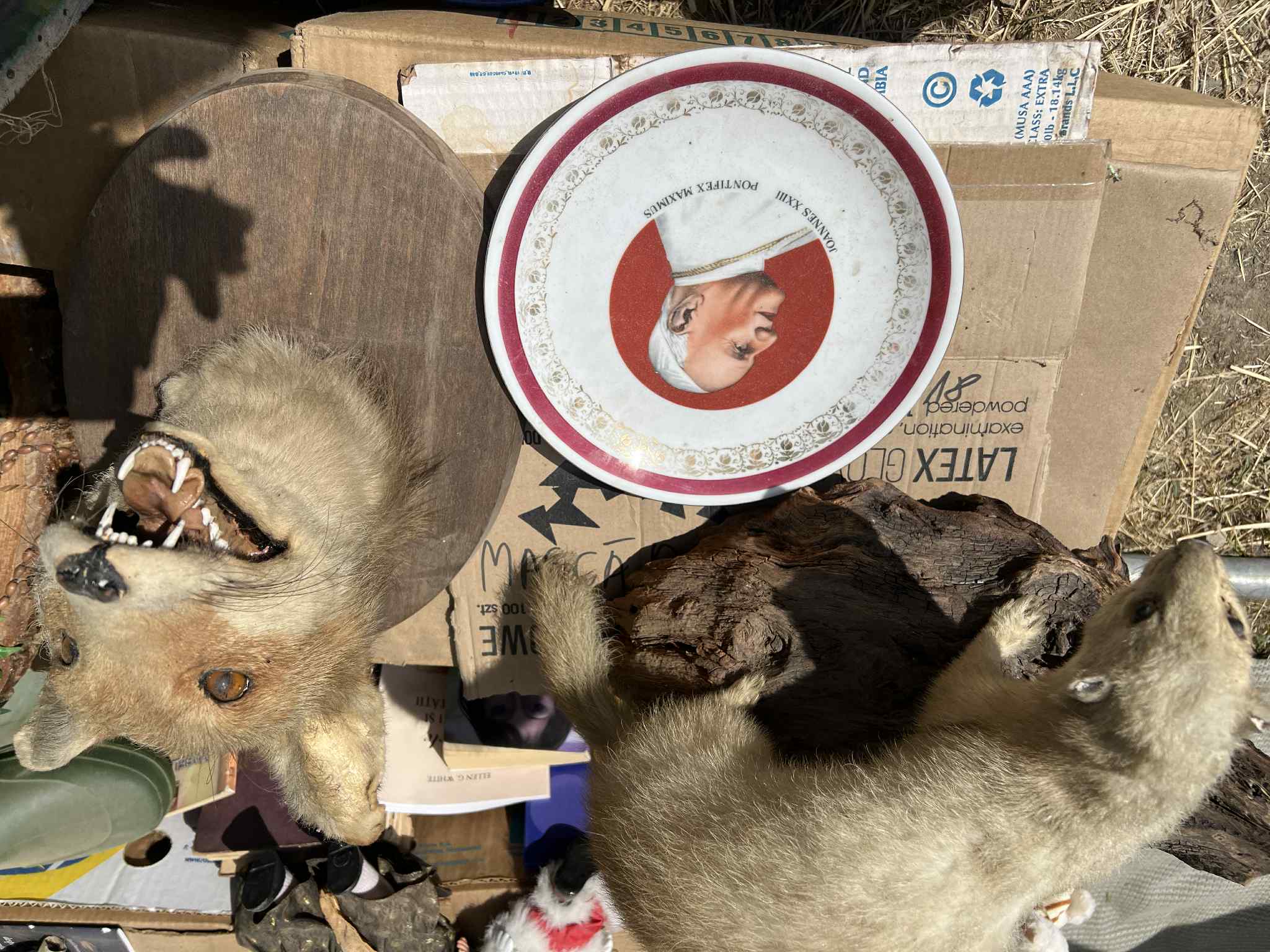 0f25986f-02e2-4b91-89e6-f80030e9911f