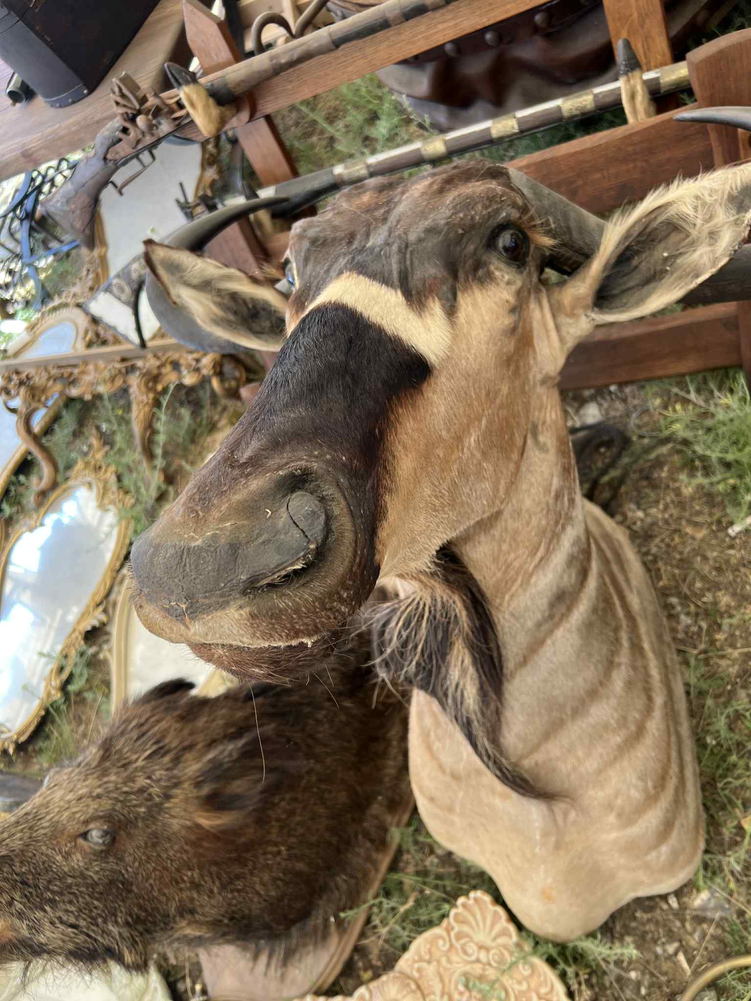 78fe9556-f1c6-4eae-b125-6cb43a7cd927