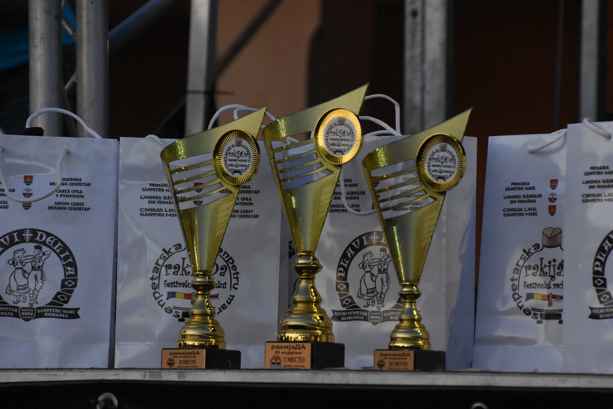 festivalul rachiului (3)