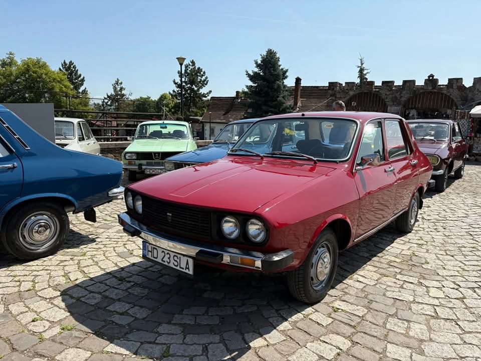 masini retroparada (10)