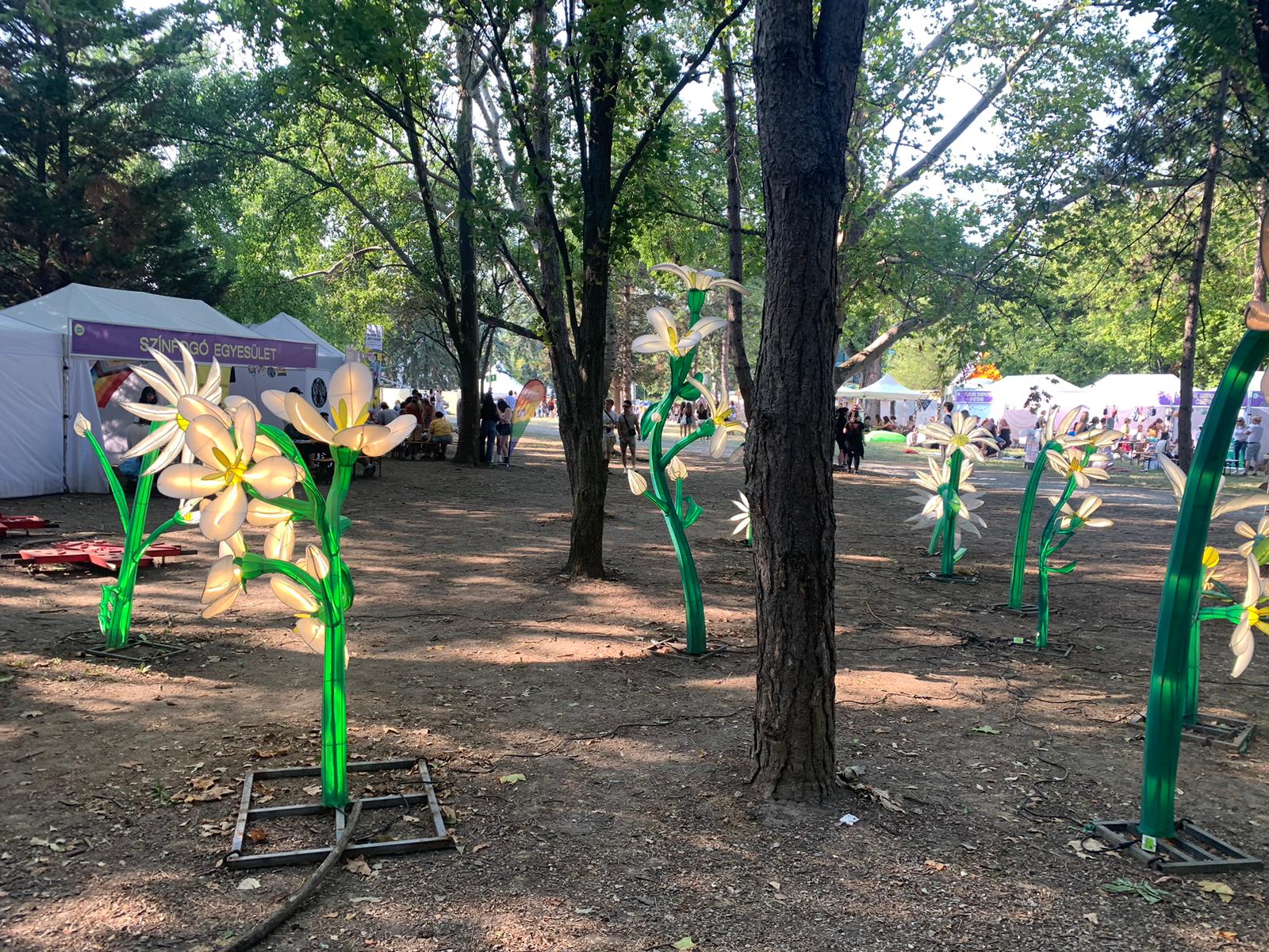 WhatsApp Image 2025-08-07 at 01.40.40 (1)