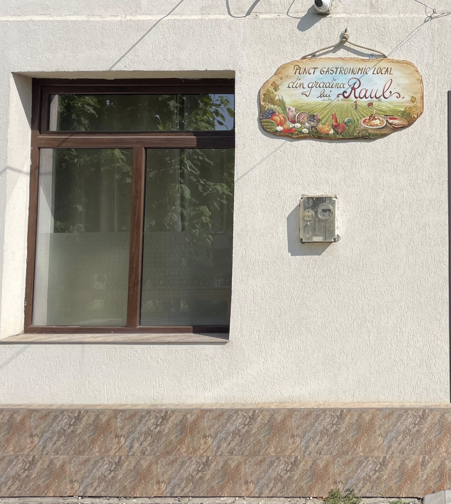 punct gastronomic local dudestii noi Raul Condeescu (5)